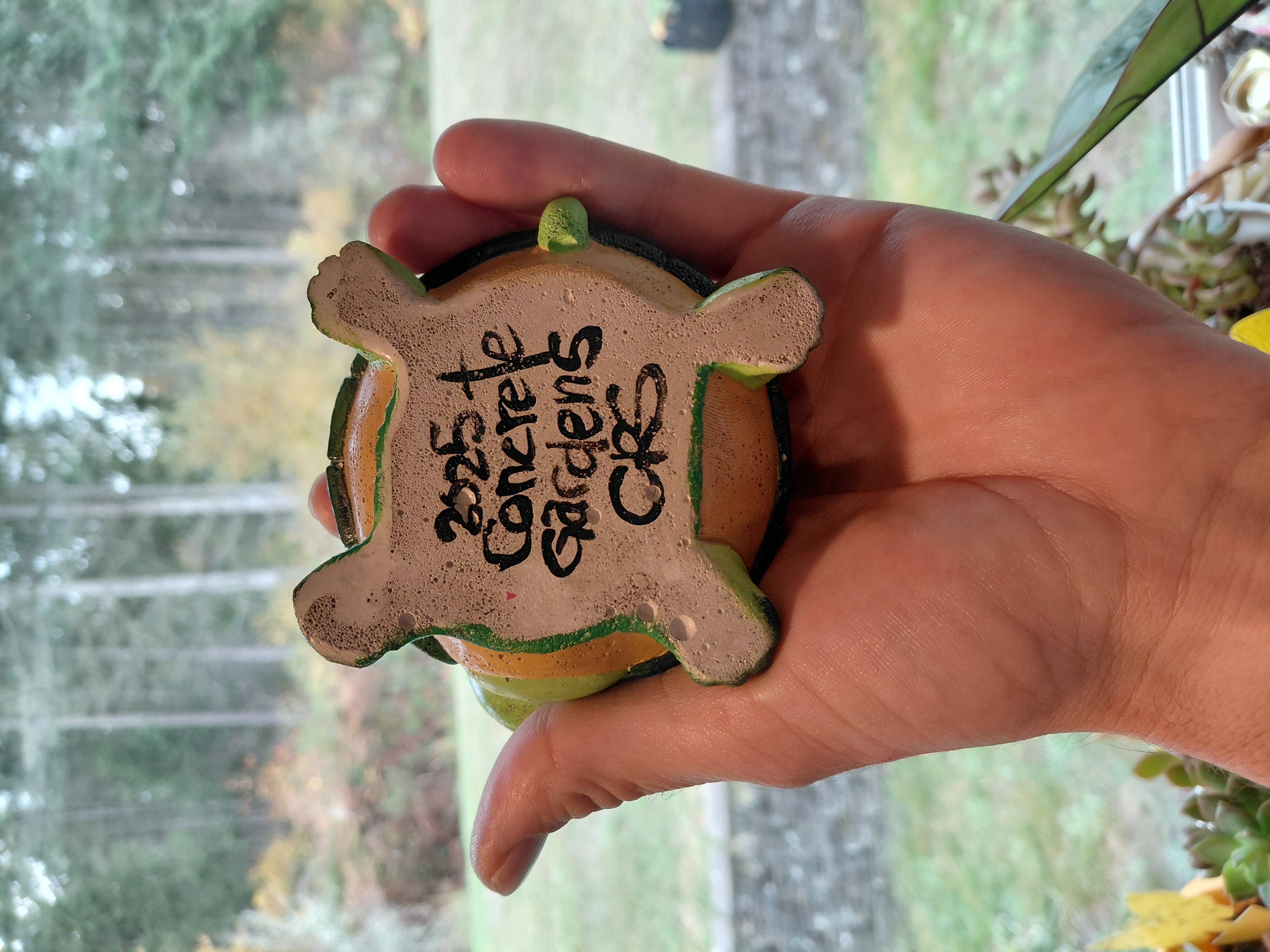 Hand Painted Concrete Turtle Pot