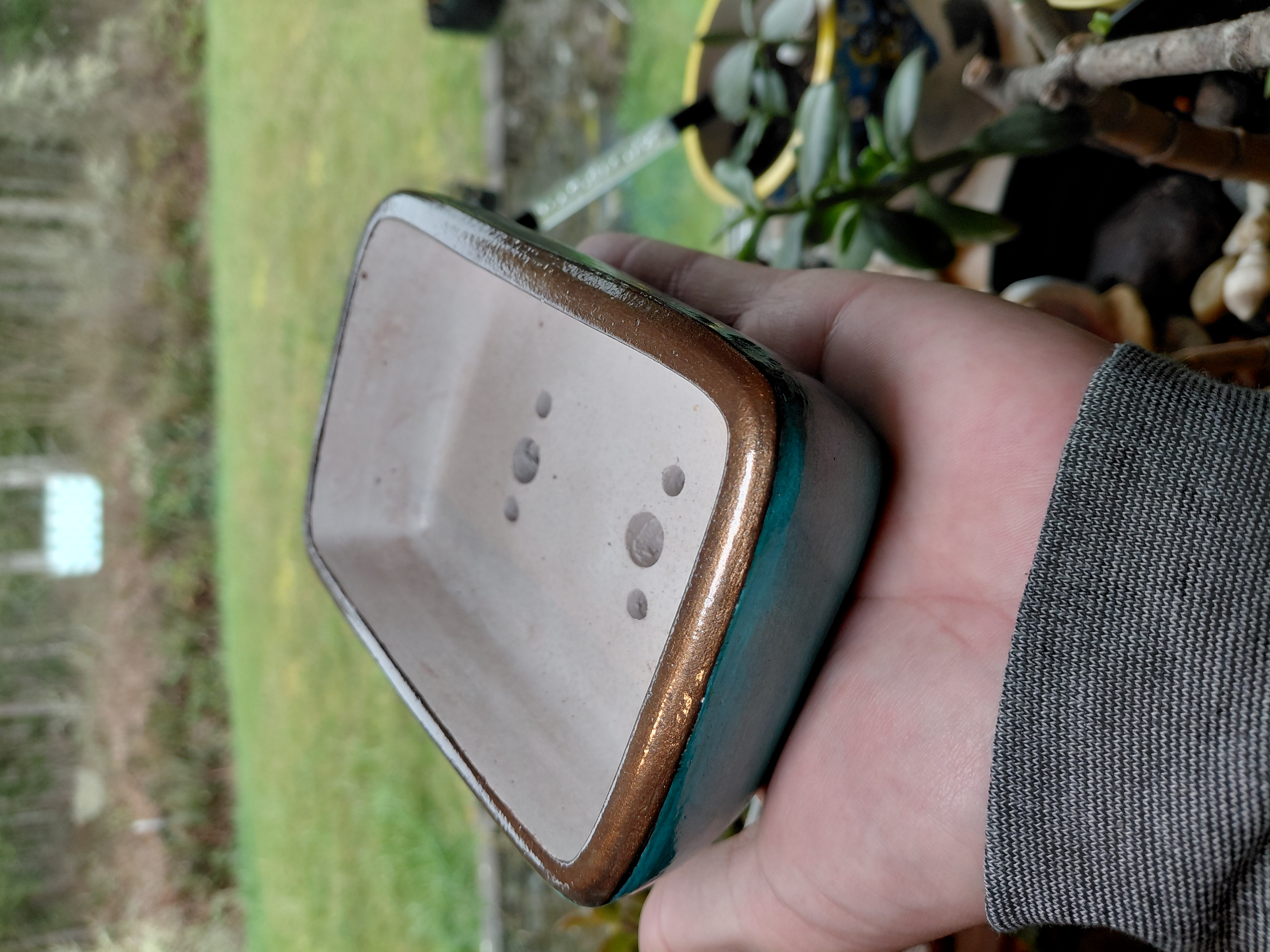 Hand Painted Bonsai Pot w/holes