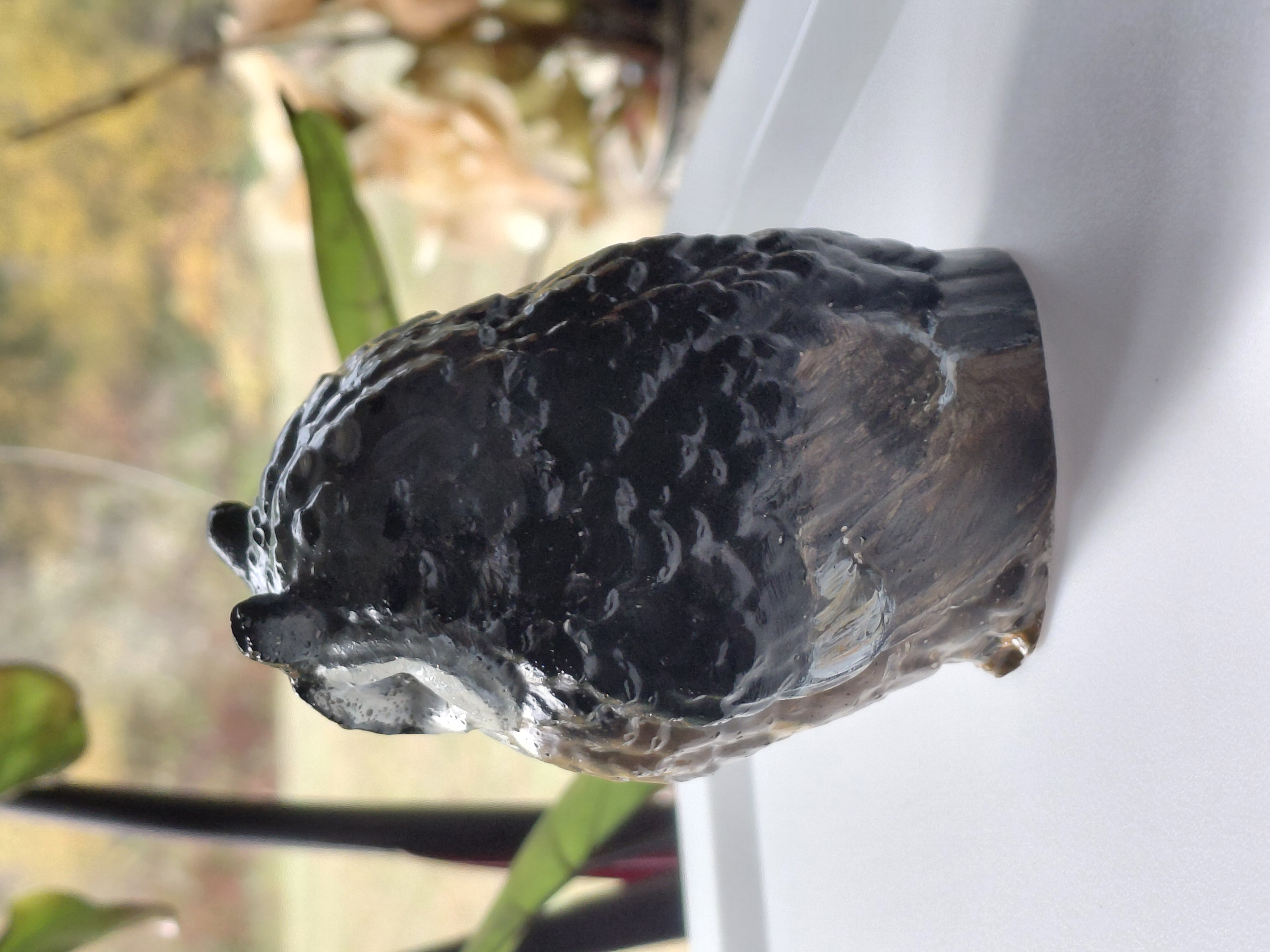 Hand Painted Concrete Owl 