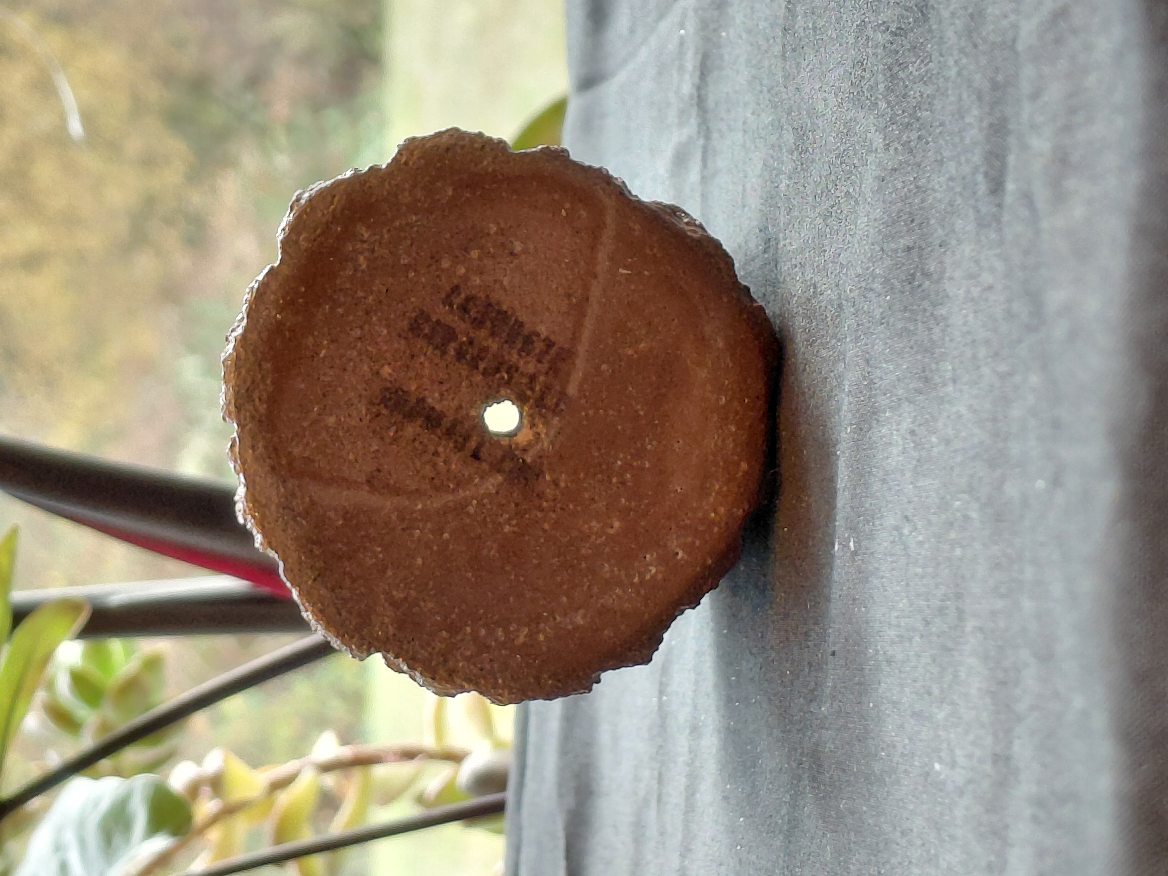 Brown Concrete Tree Trunk Pot 