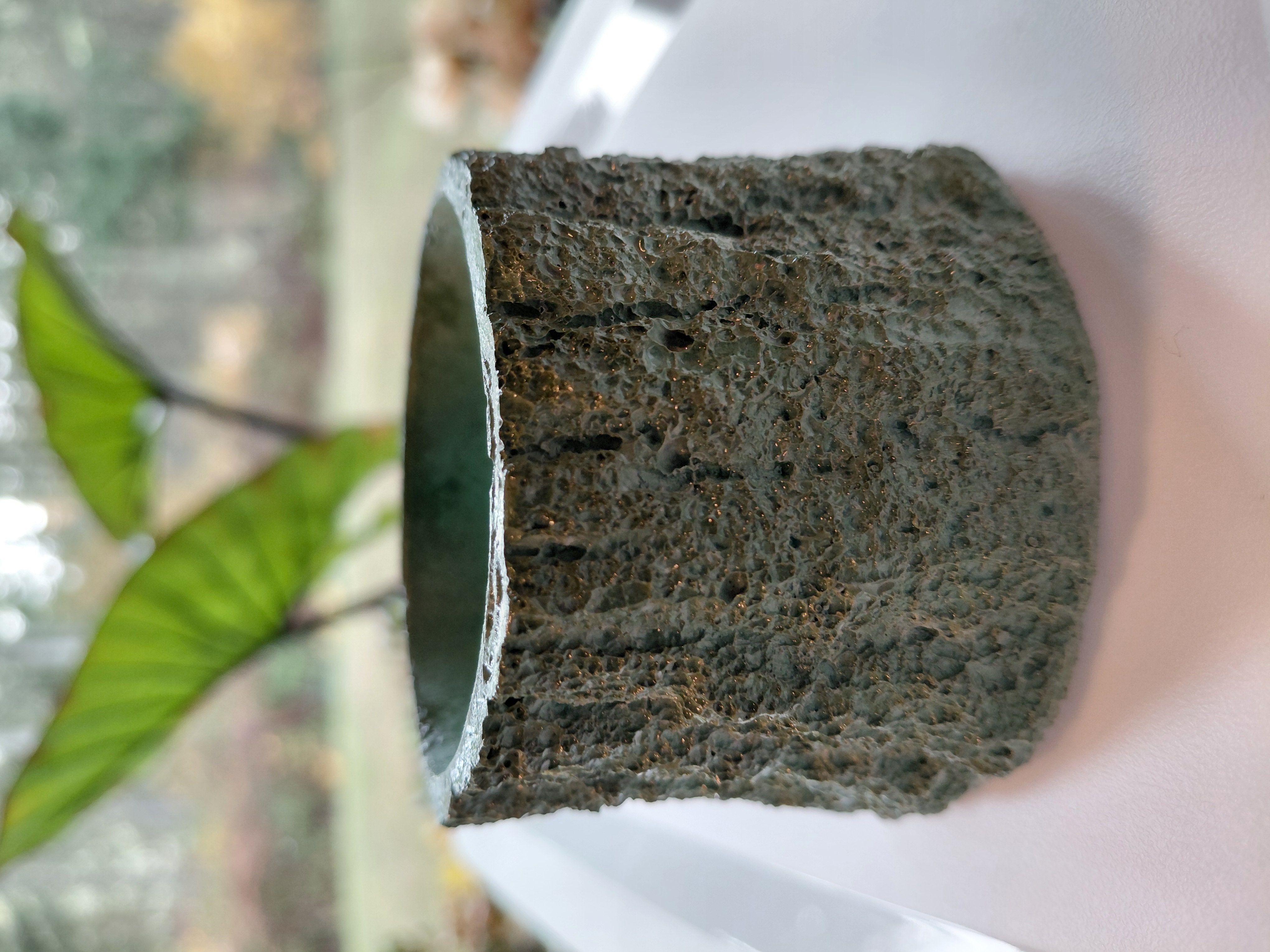 Dark Green Concrete Tree Pot