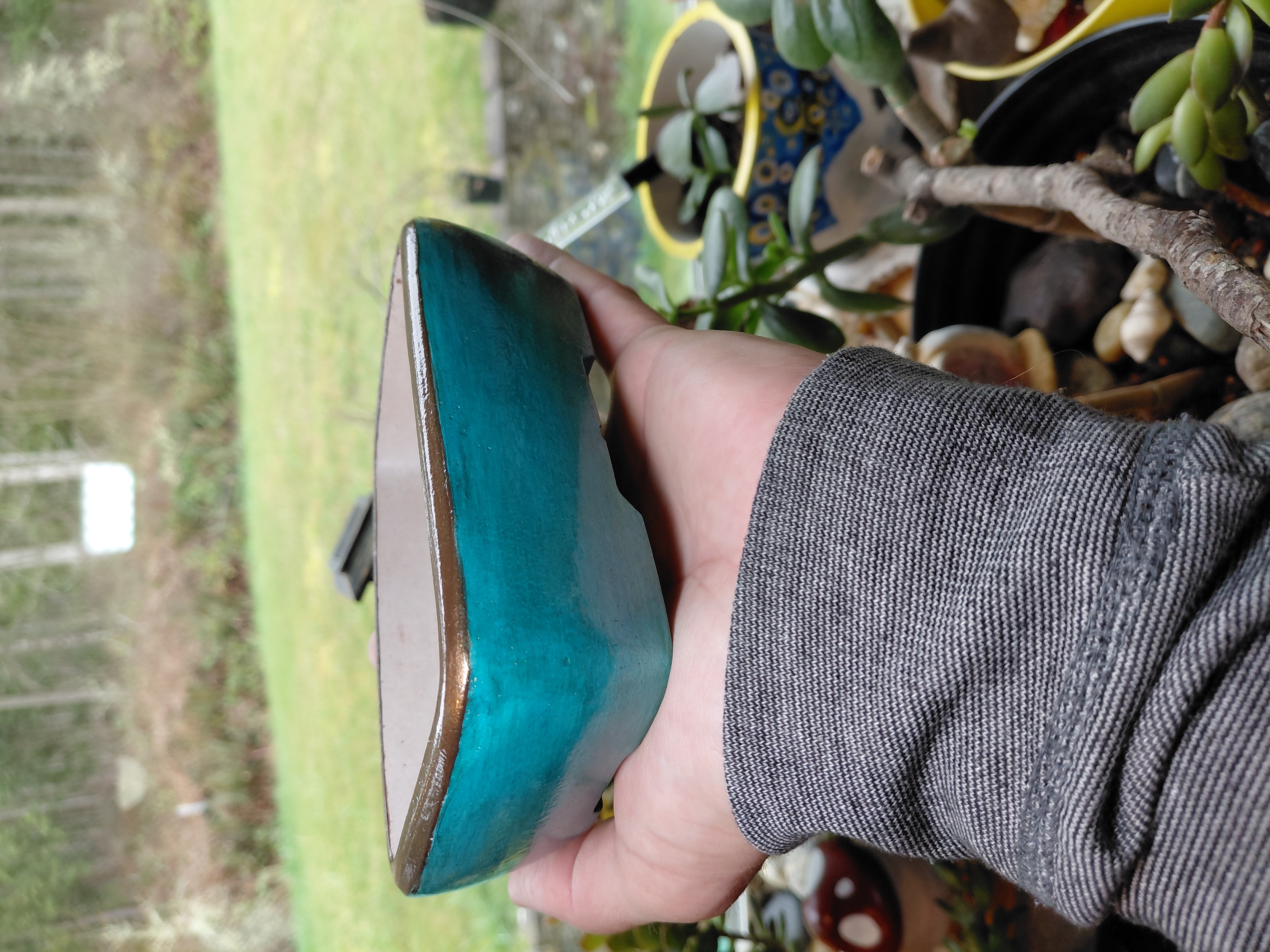 Hand Painted Bonsai Pot w/holes