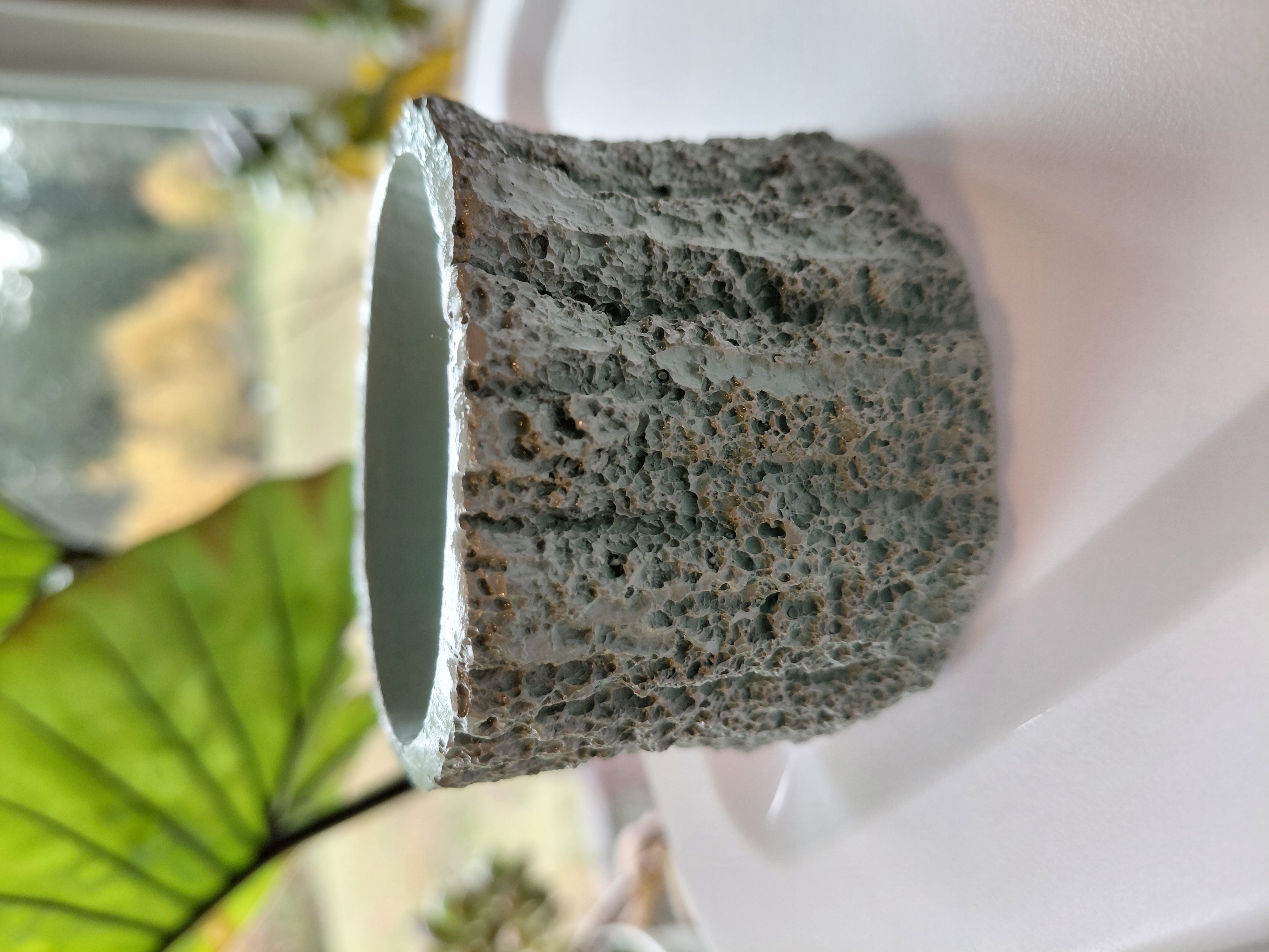 Green Concrete Tree Stump Pot