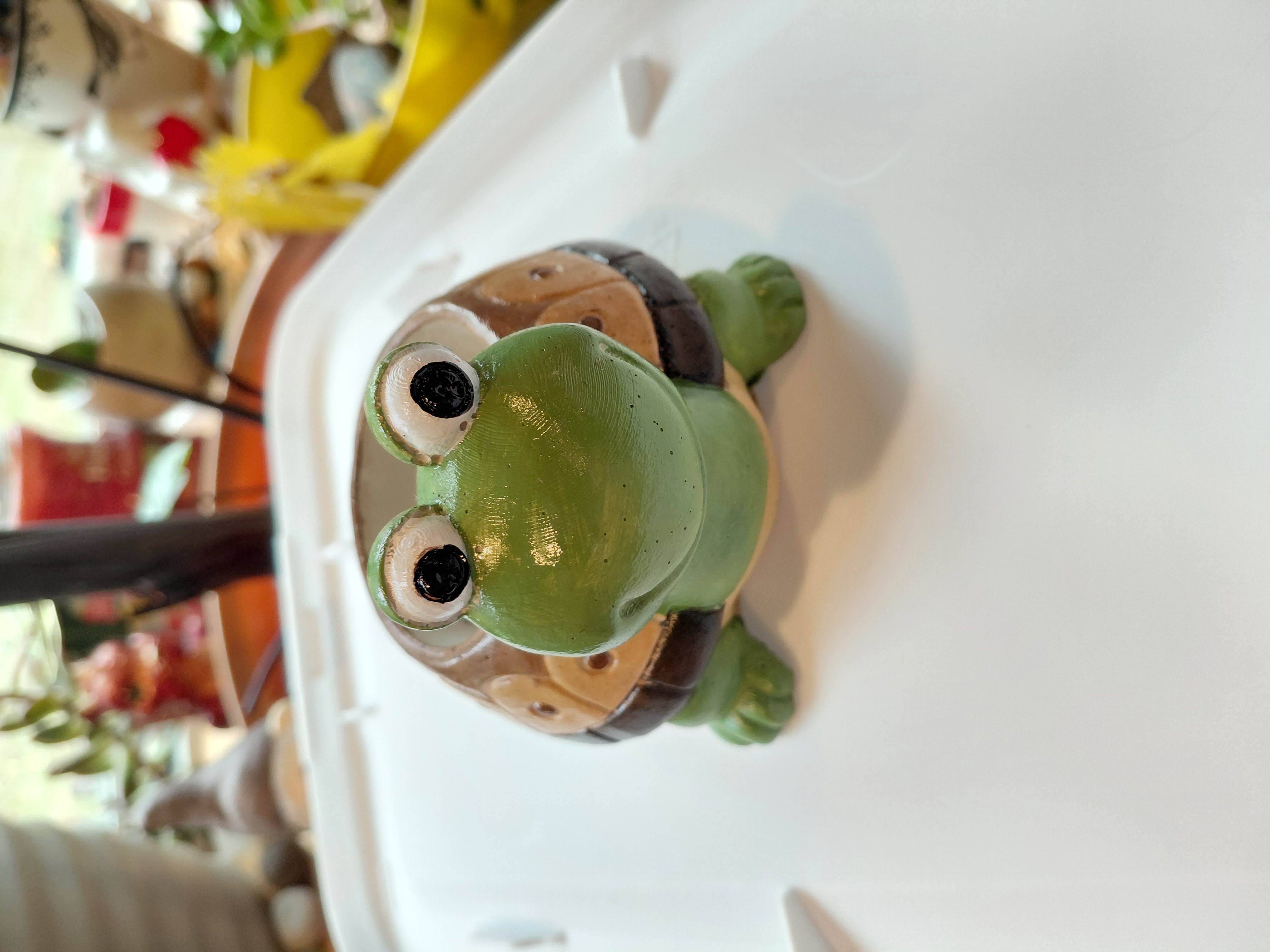 Turtle Concrete Pot Hand Painted w/drainage