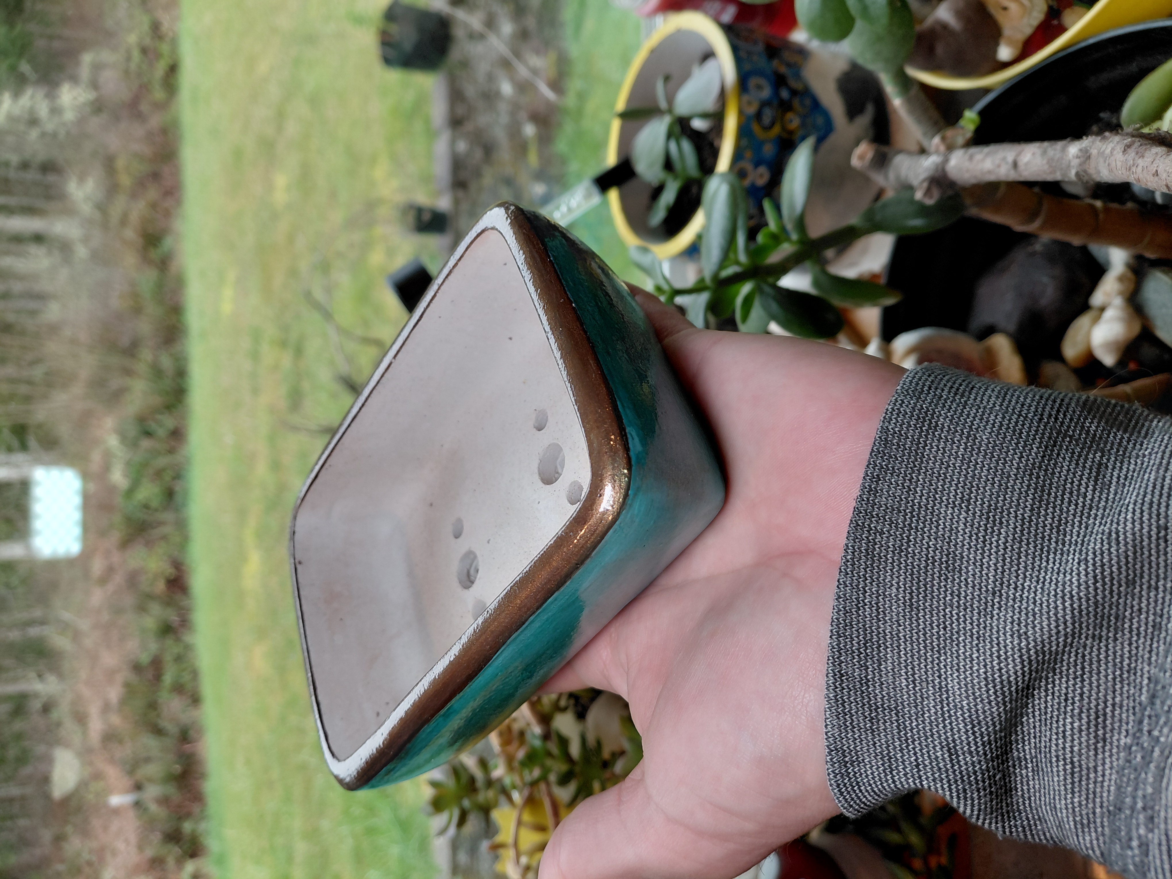 Hand Painted Bonsai Pot w/holes