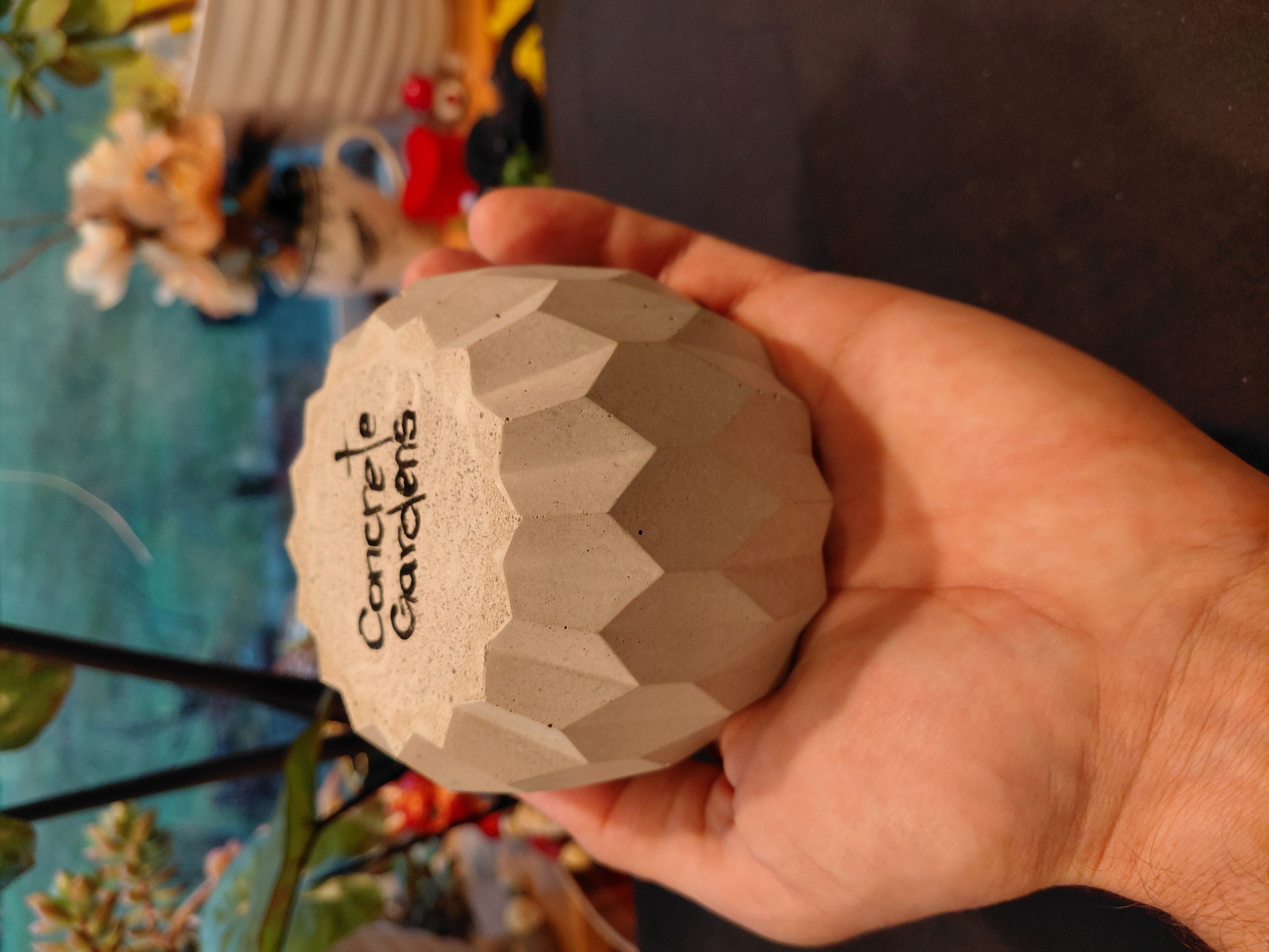 Geometric Brown Concrete Pot/Container