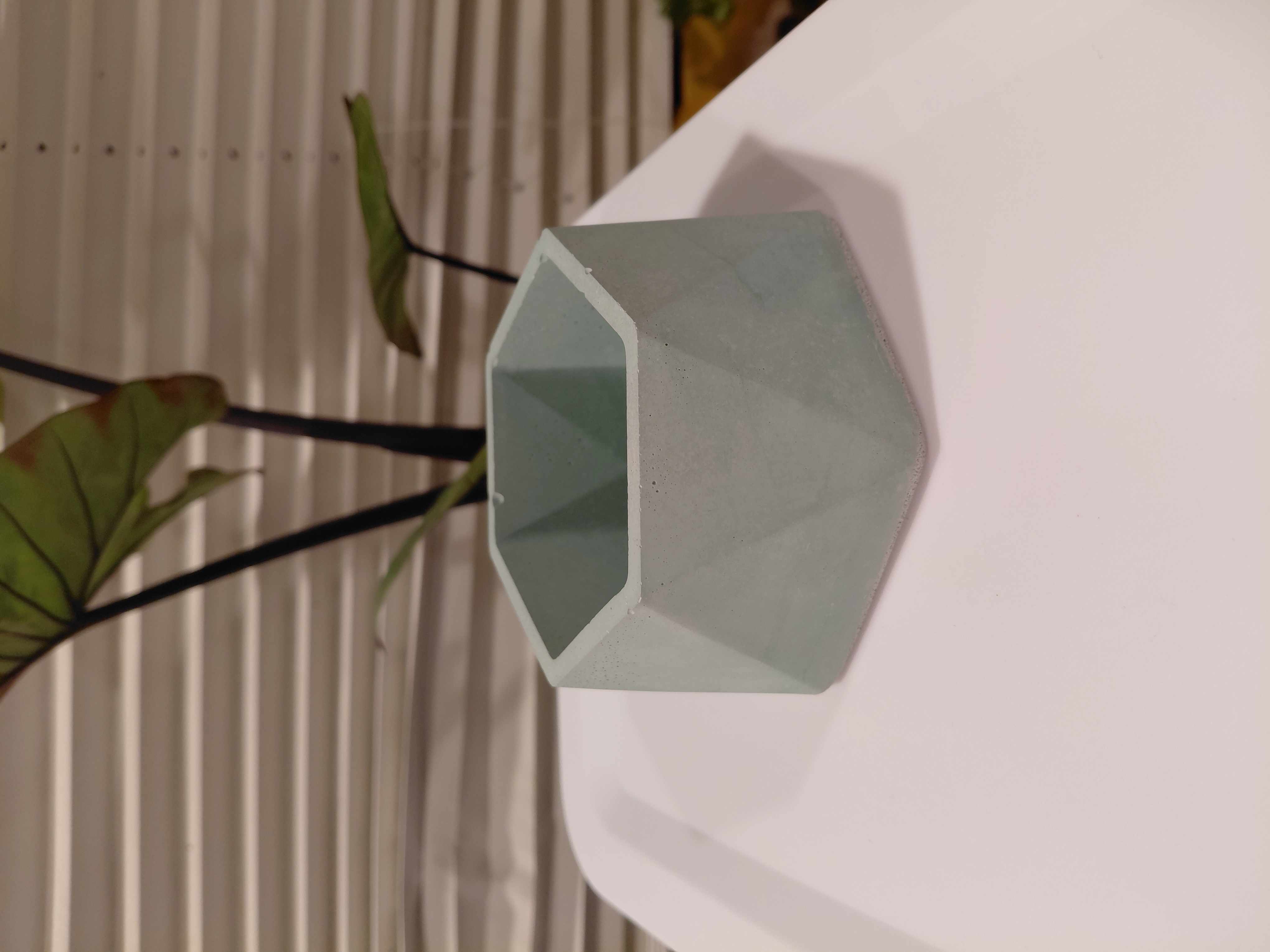 Jade Hexagonal Concrete Pot w/drainage