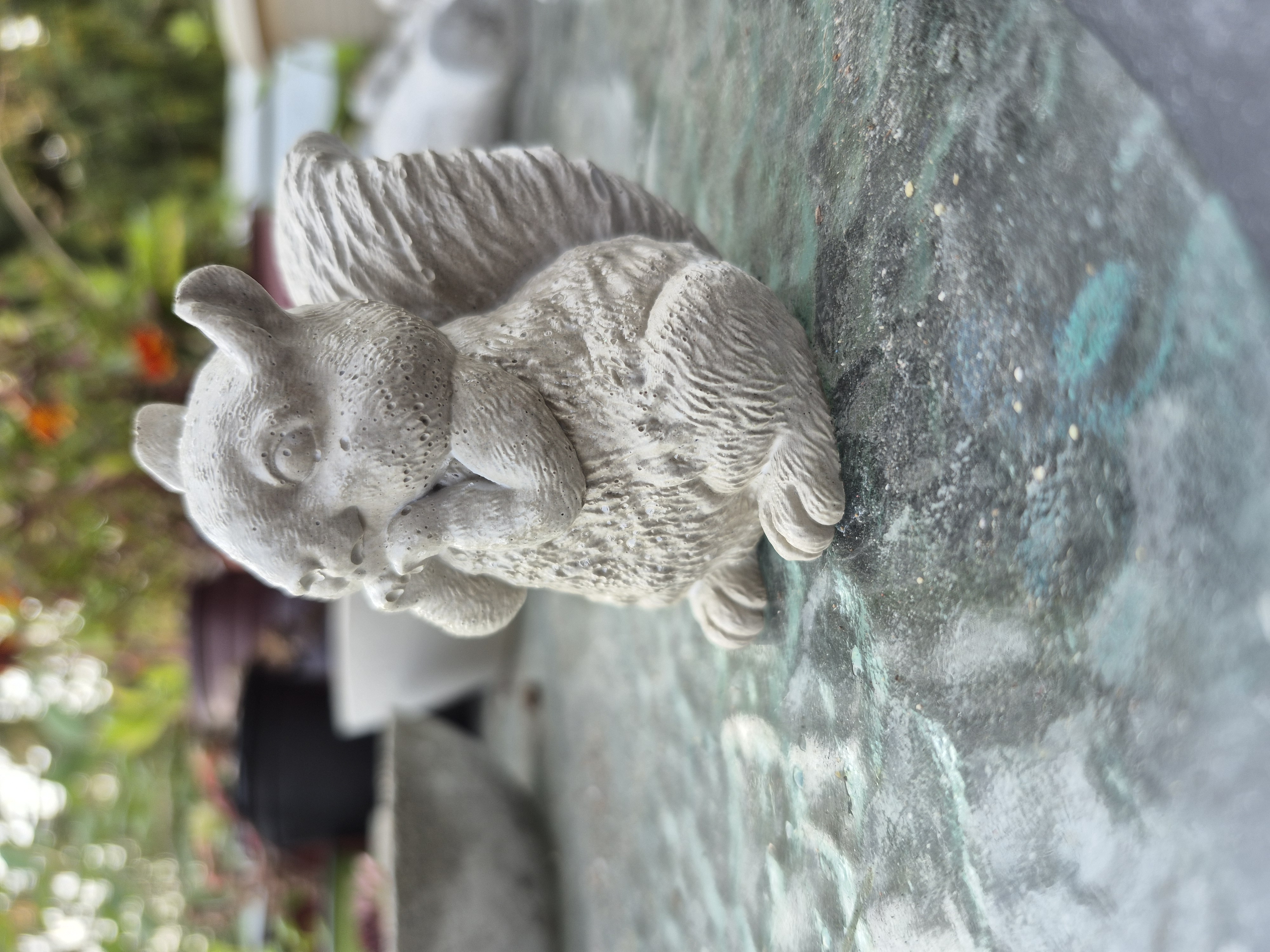 Squirrel Concrete