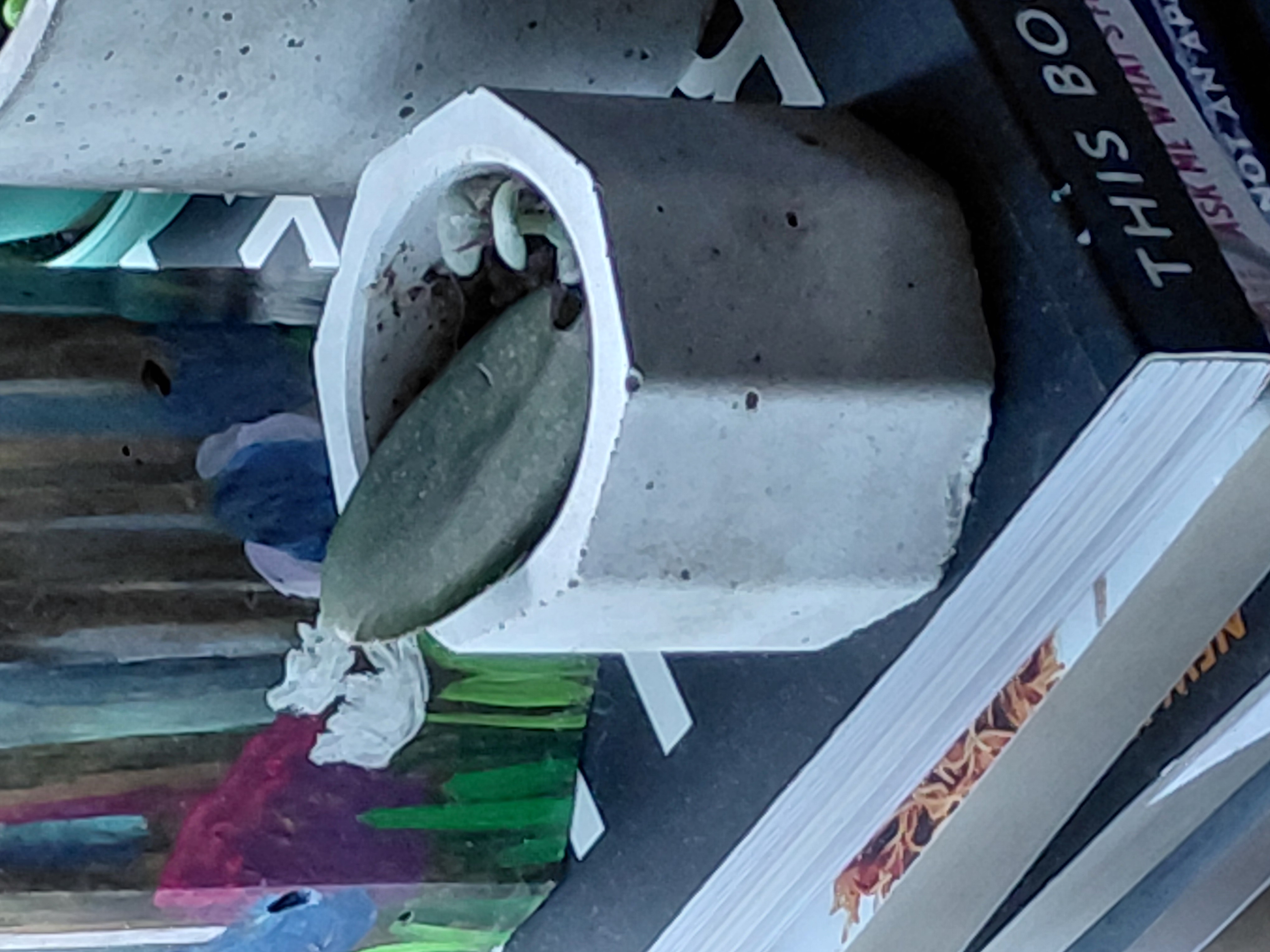 Small Octagon Succulent Concrete Pots