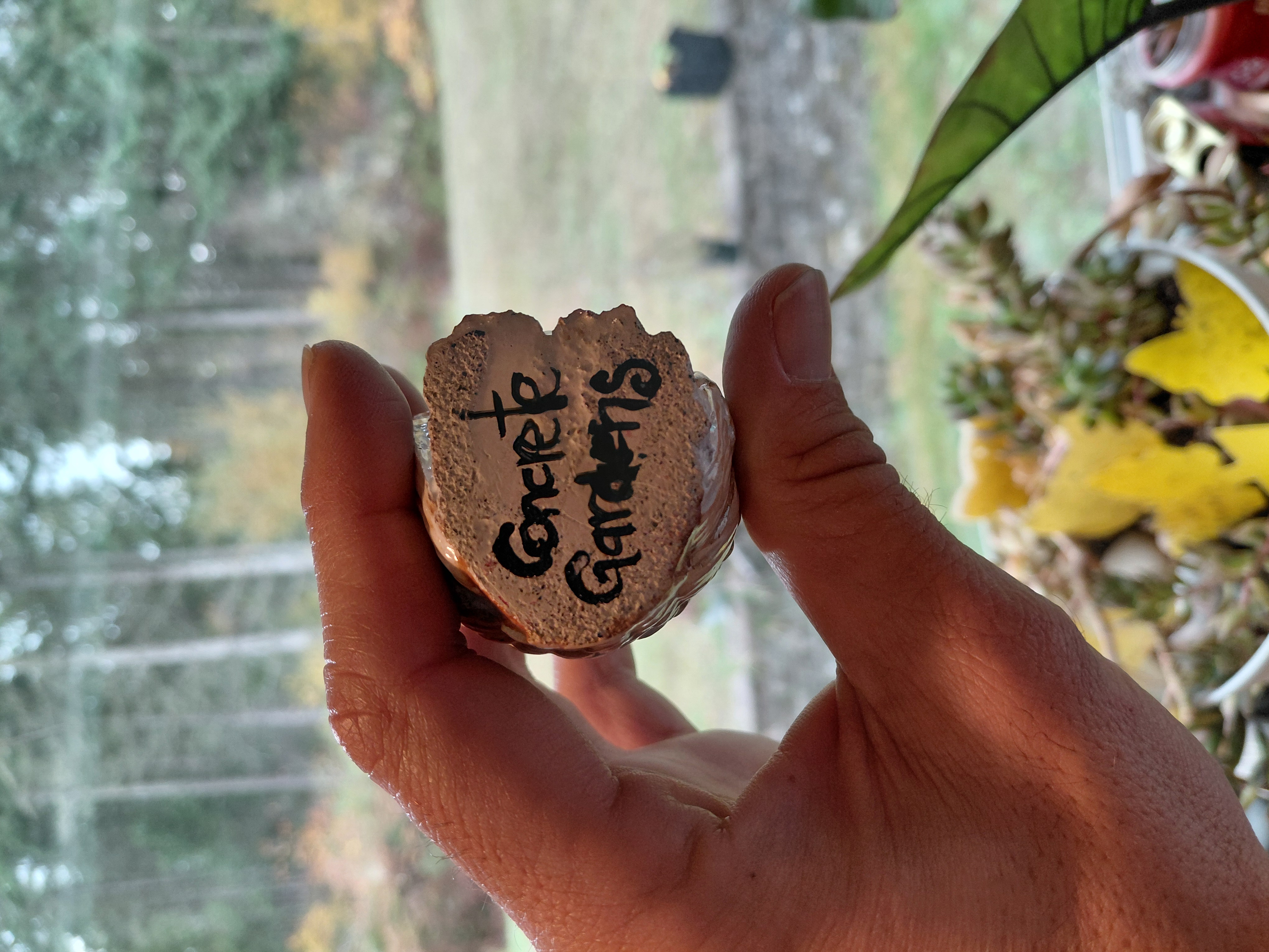 Hand Painted Concrete Owl