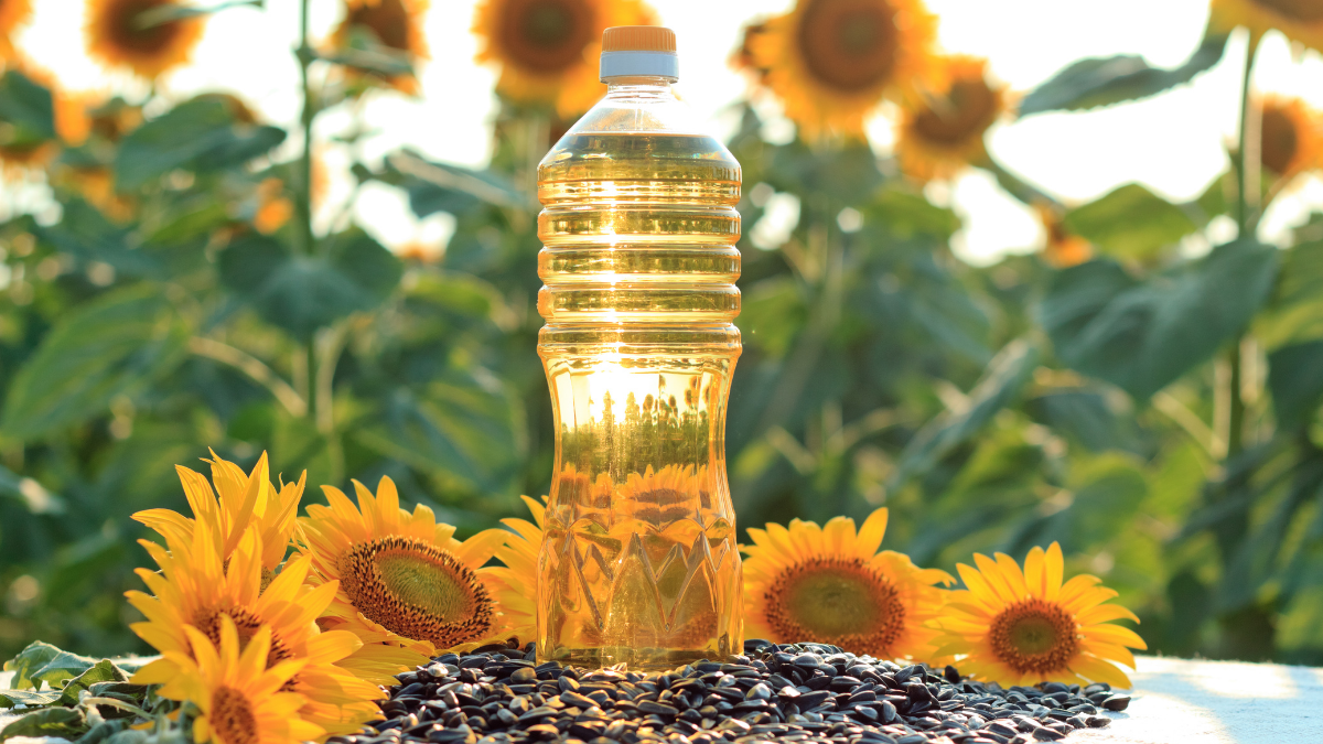 Buy Sunflower Oil online 