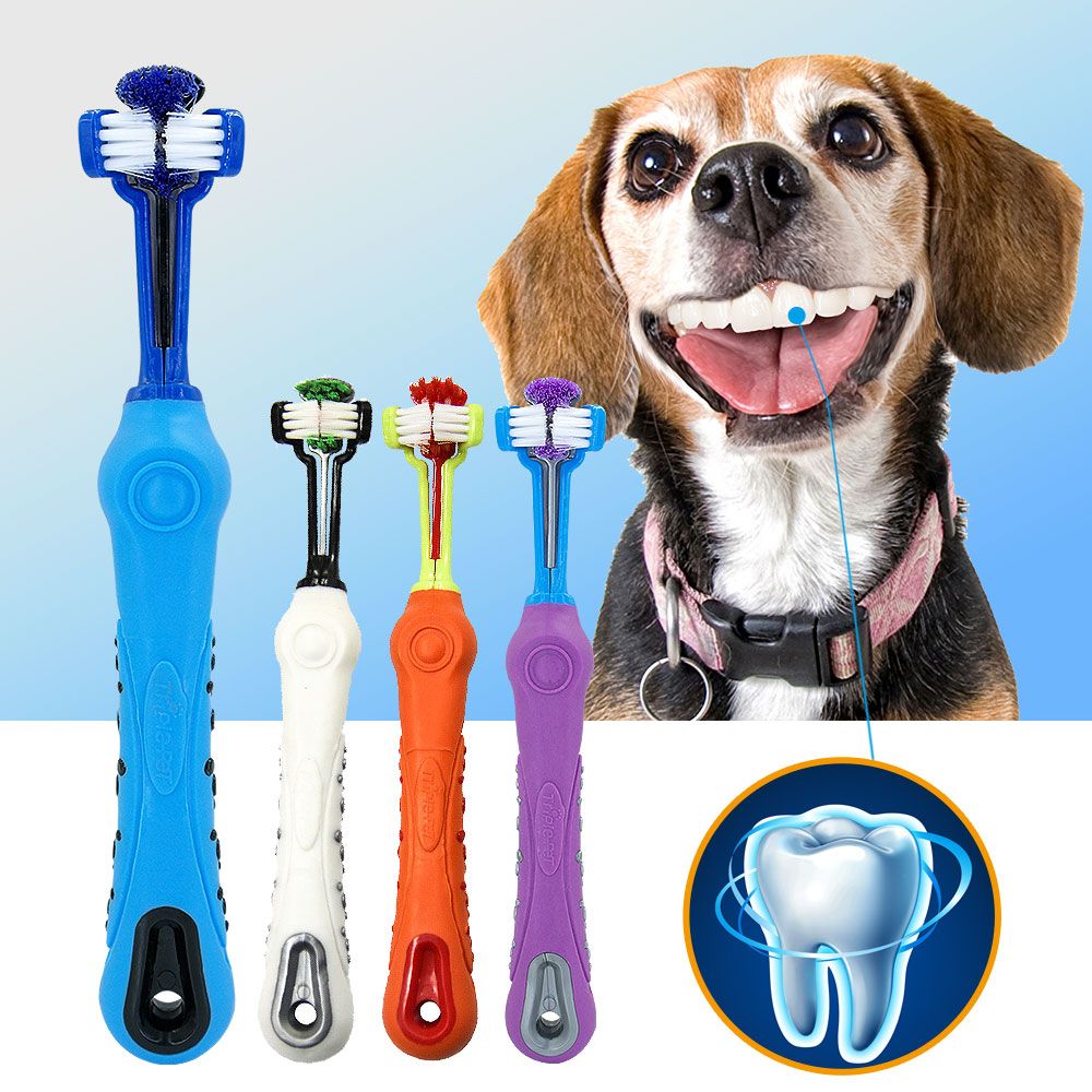 Dog Toothbrush Set