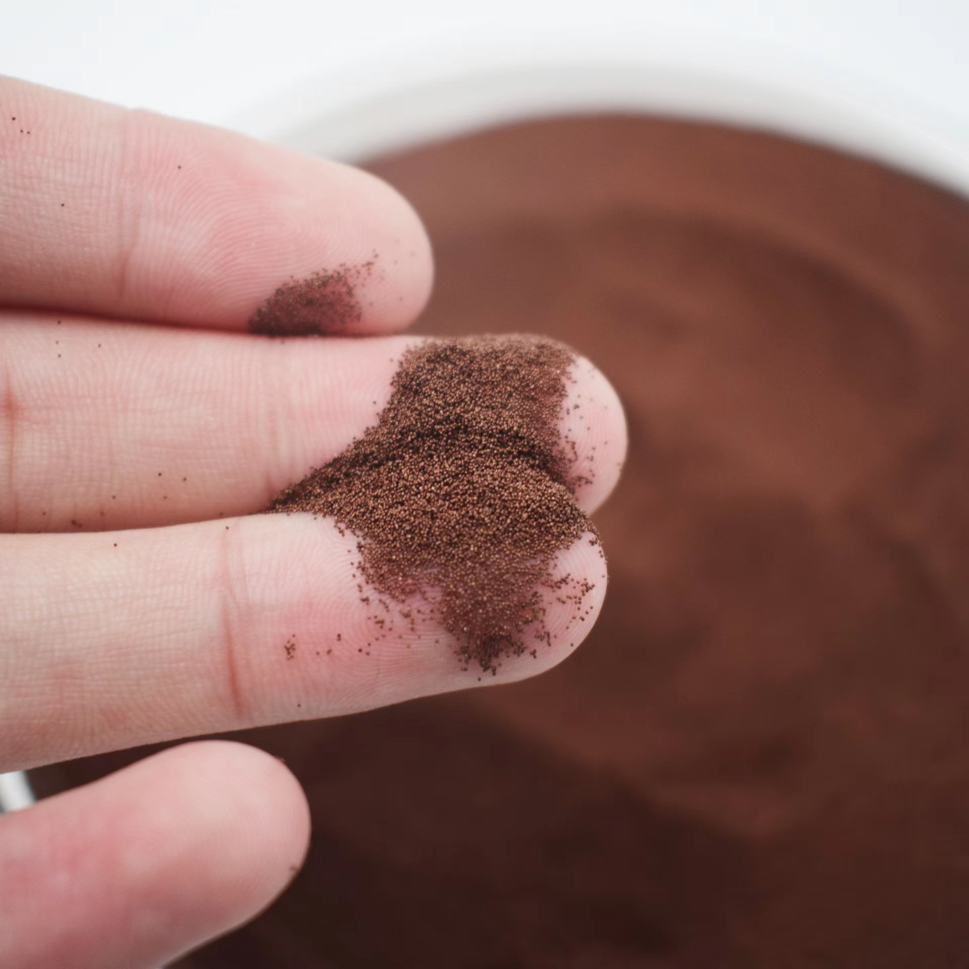 Bohai Bay Brine Shrimp Eggs