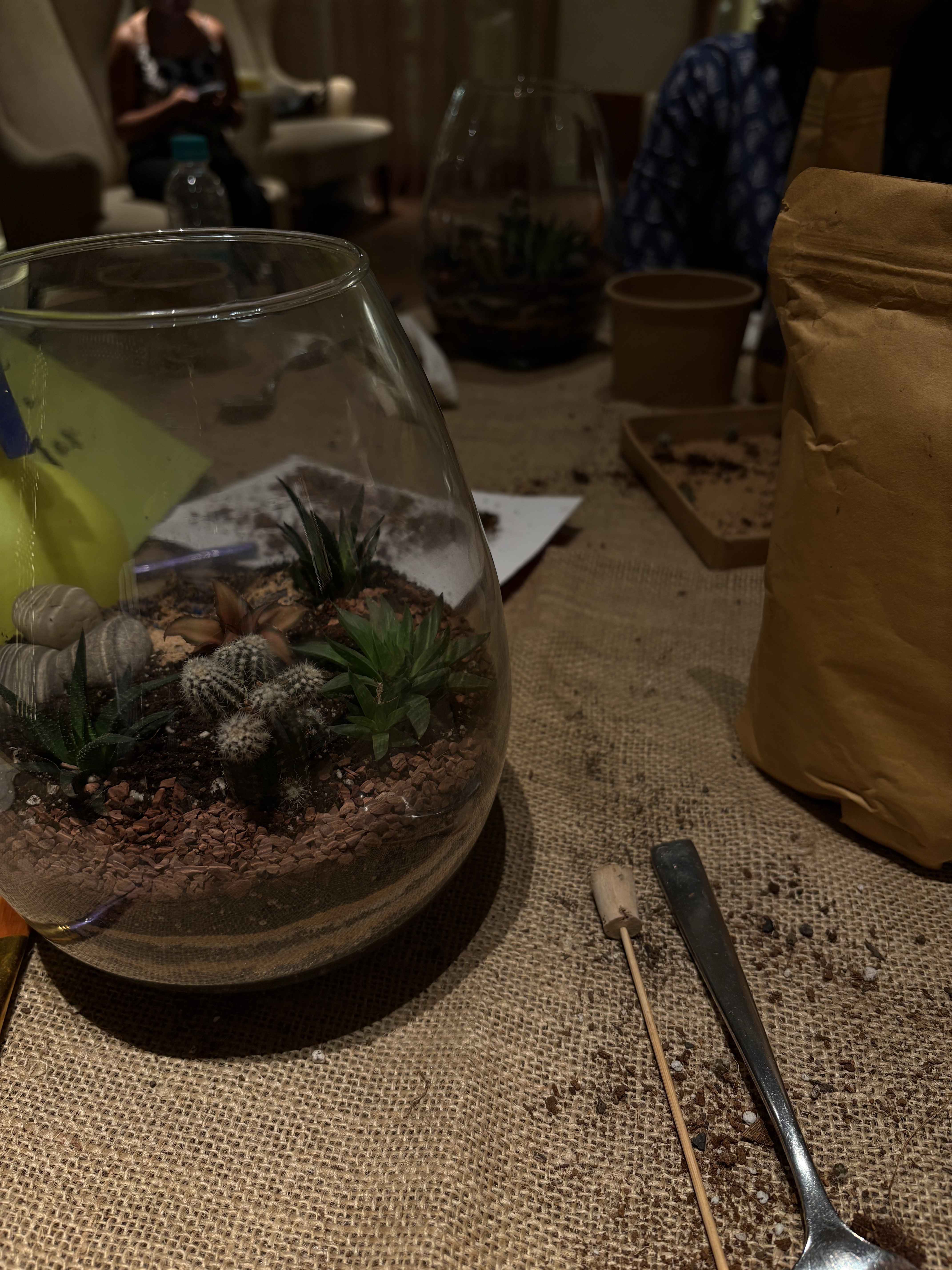 Inside the Glass Garden