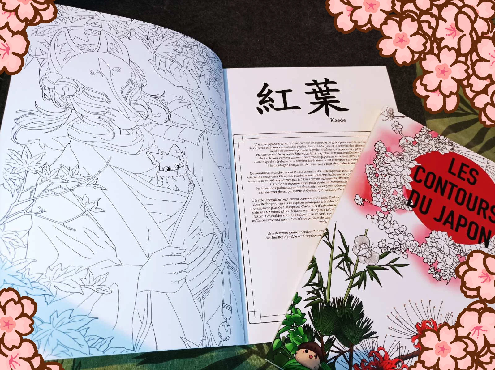 Les Contours du Japon tome 2 la flore