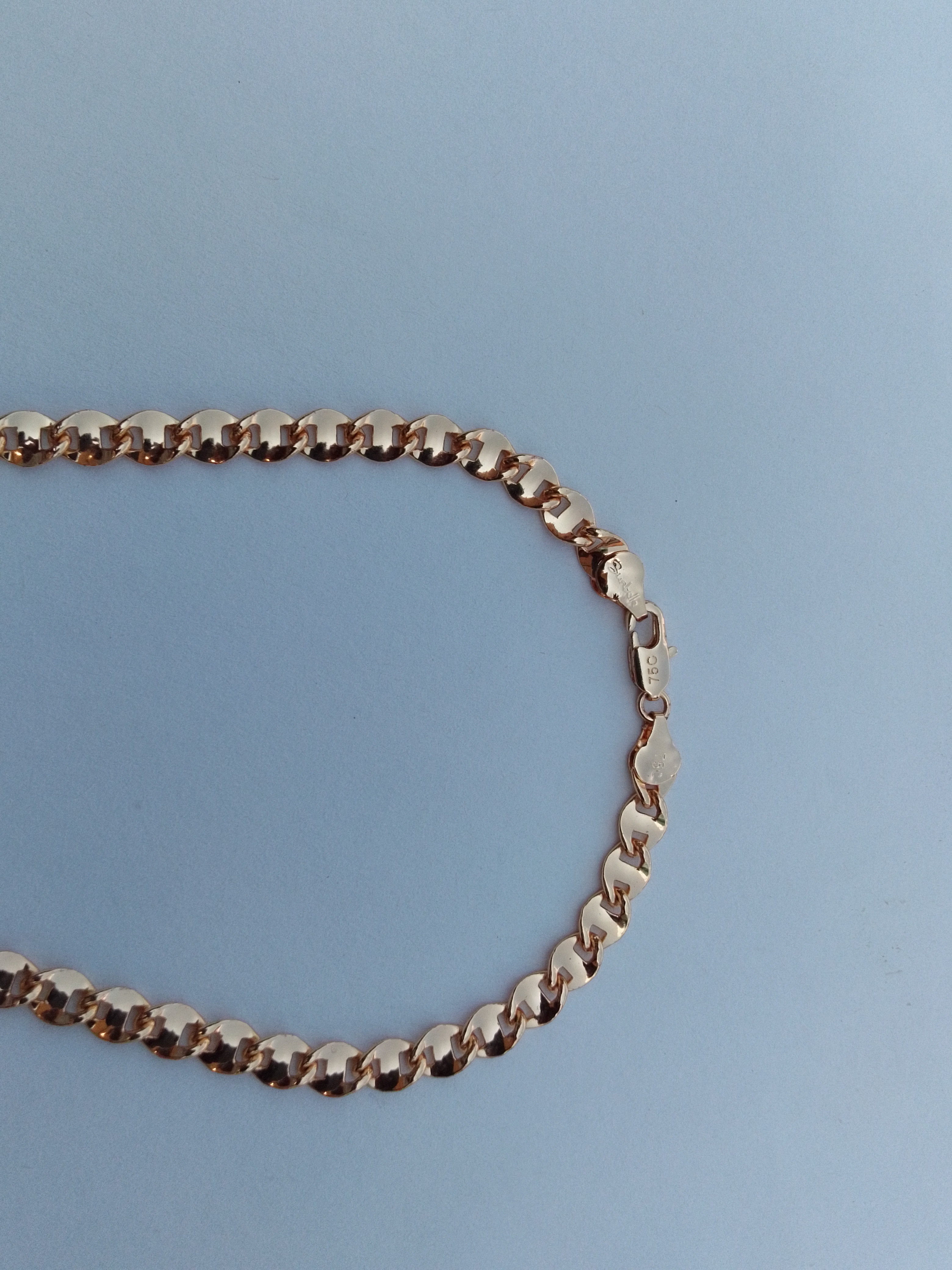 Herpi Chain Necklace