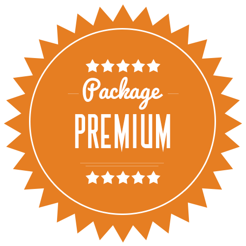 Premium Plan – $19.99 /month(GREAT ARTIST PACKAGE) -