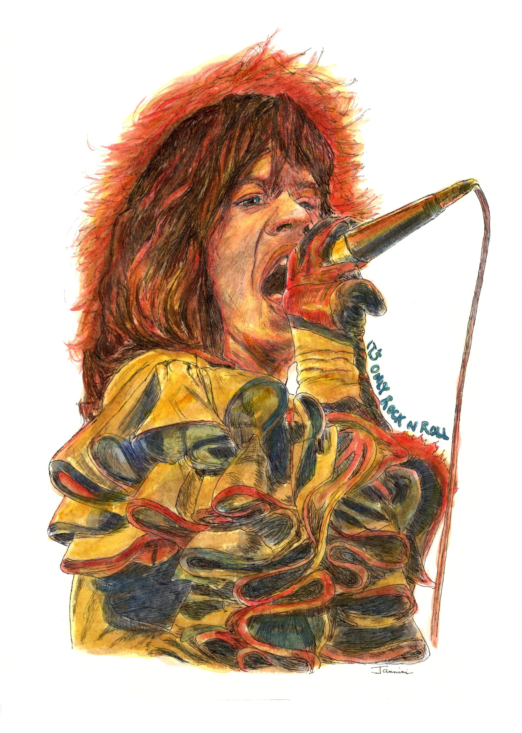 Mick jagger The Rolling Stones