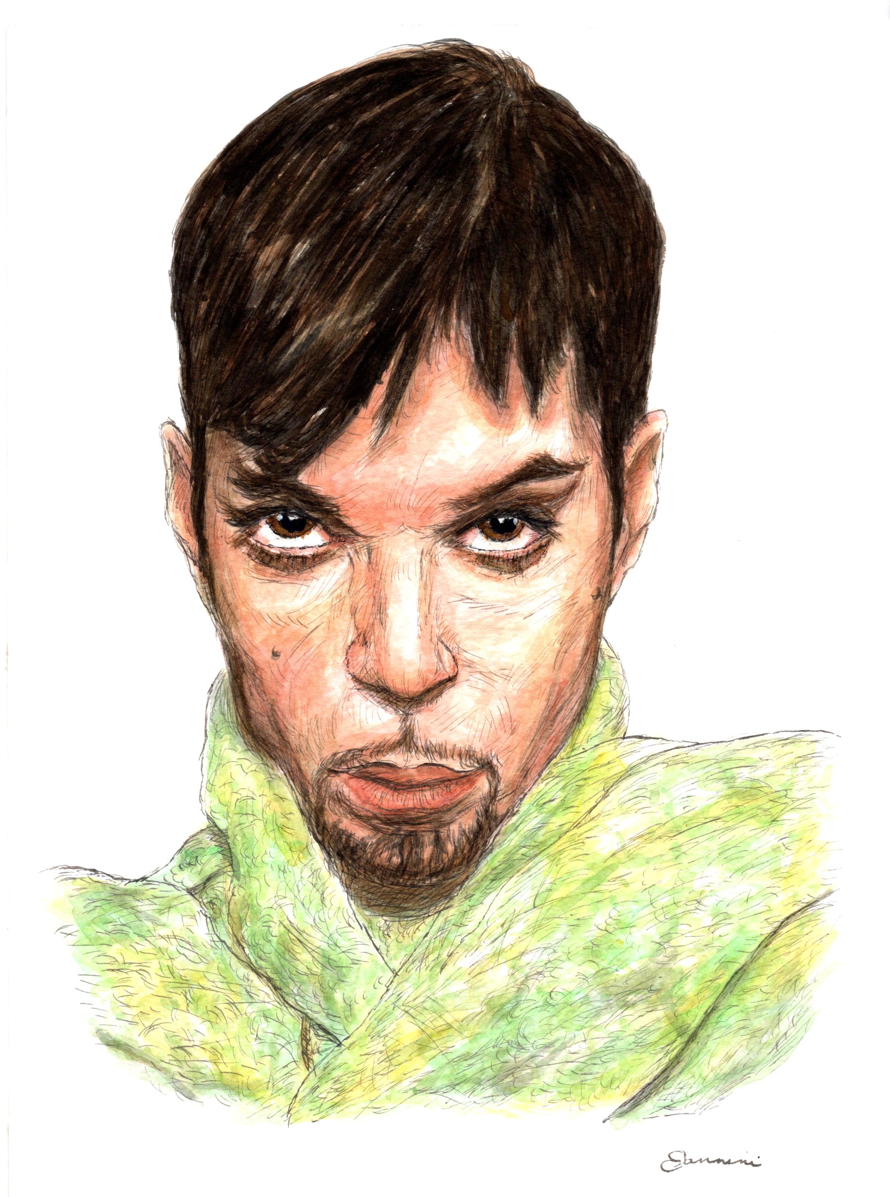 Prince the Artist Music Legend