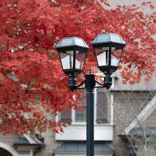 Dual-head black outdoor lamp post