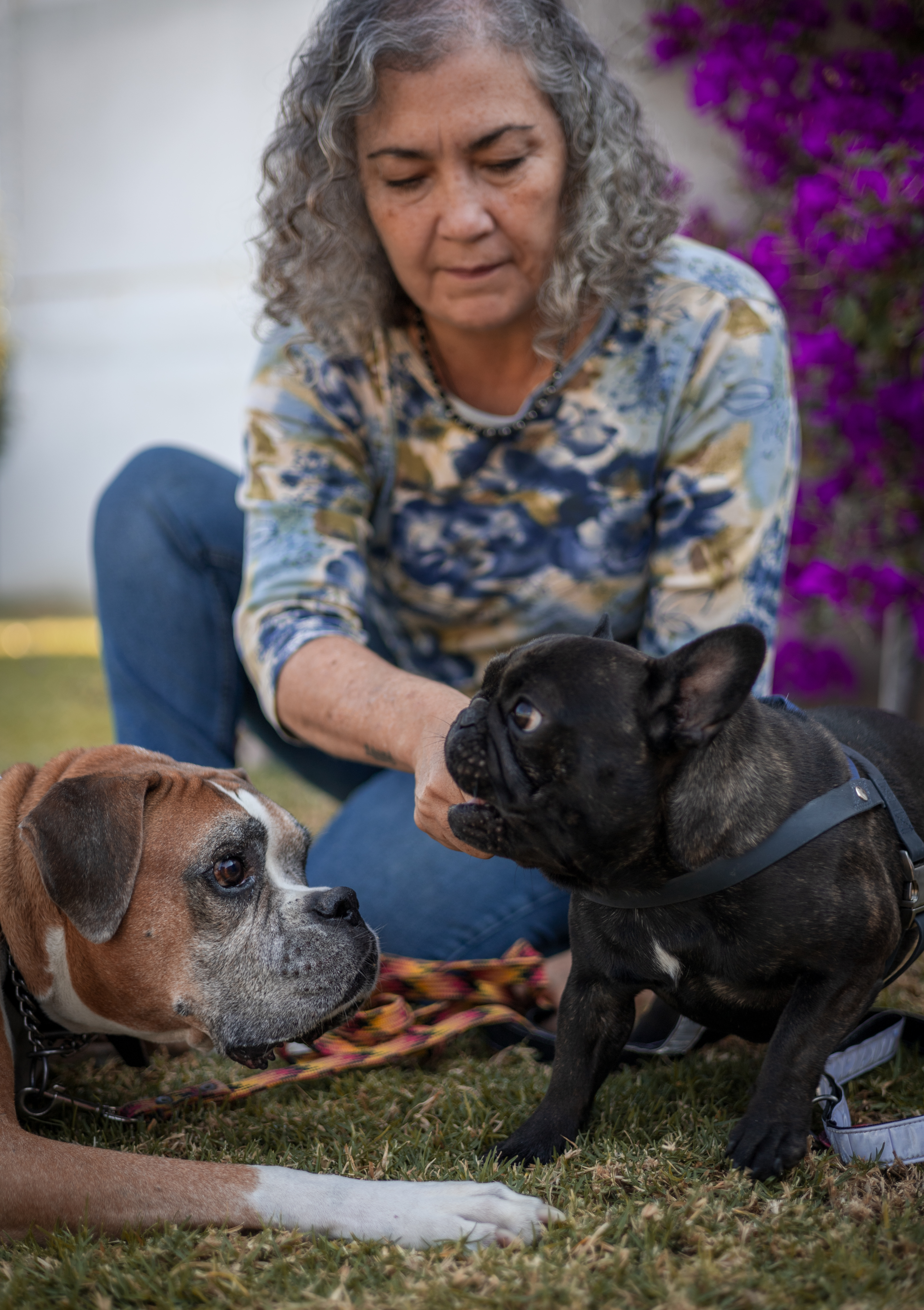 Sesión de Comunicación Interespecie