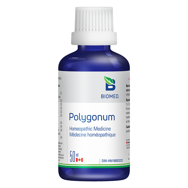 Biomed Polygonum Homeopathic Medicine Joints