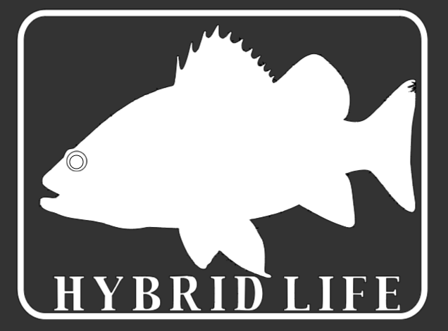 Hybrid Life Fish Decal