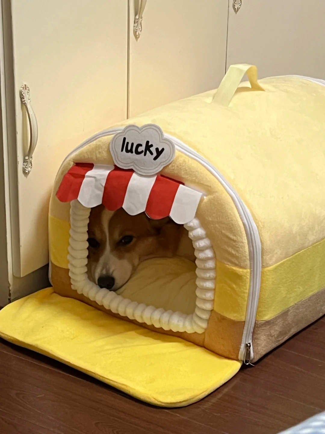 Cozy Dog House Bed