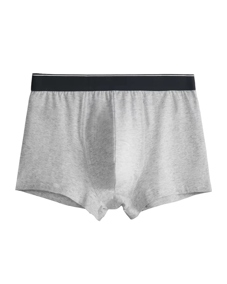 Men's Underwear Boxer Briefs Premium Cotton Custom Logo 5 Inch Inseam Long Men Underwear Boxer Plus Size Underwear for Men