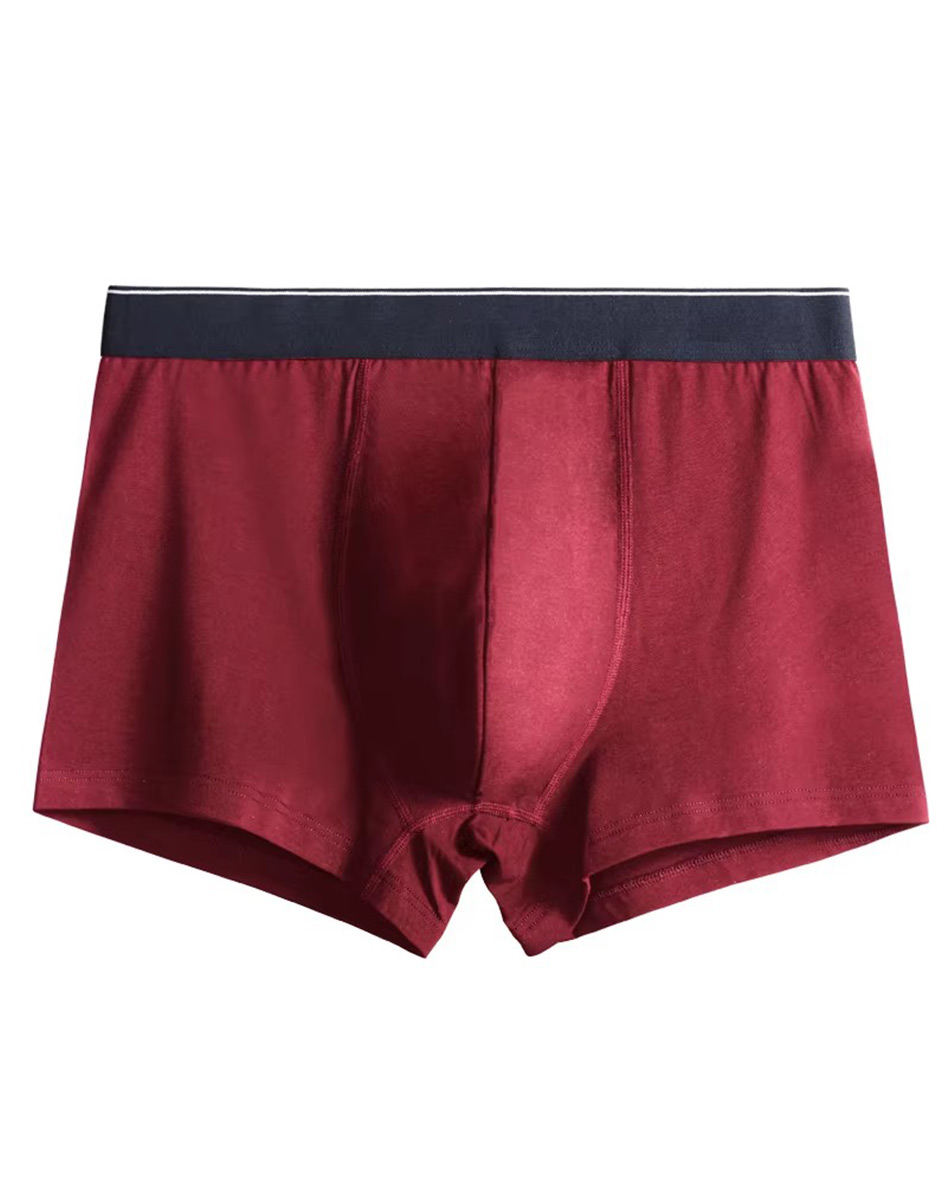 Men's Underwear Boxer Briefs Premium Cotton Custom Logo 5 Inch Inseam Long Men Underwear Boxer Plus Size Underwear for Men