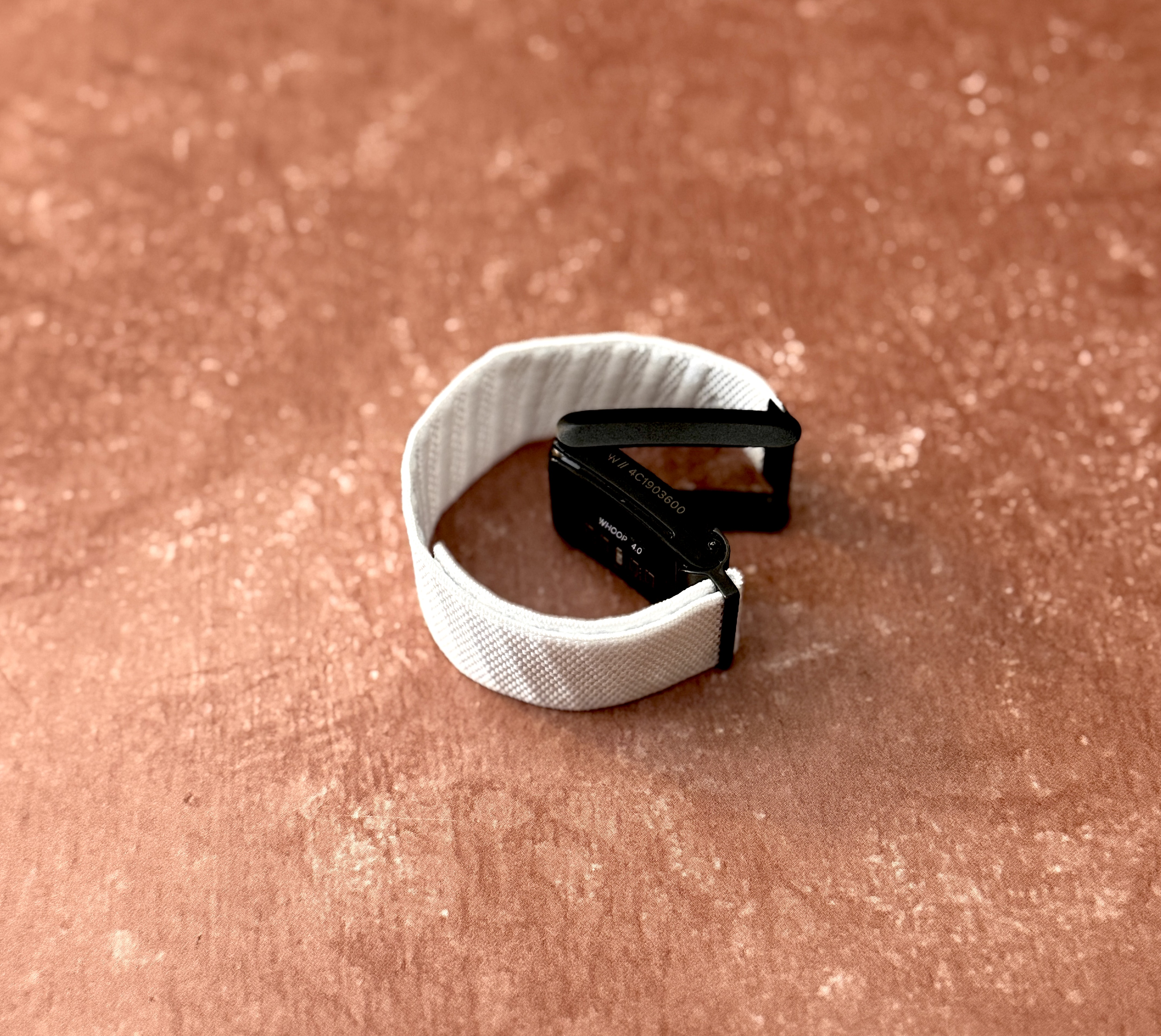 White Strap || Metal Buckle