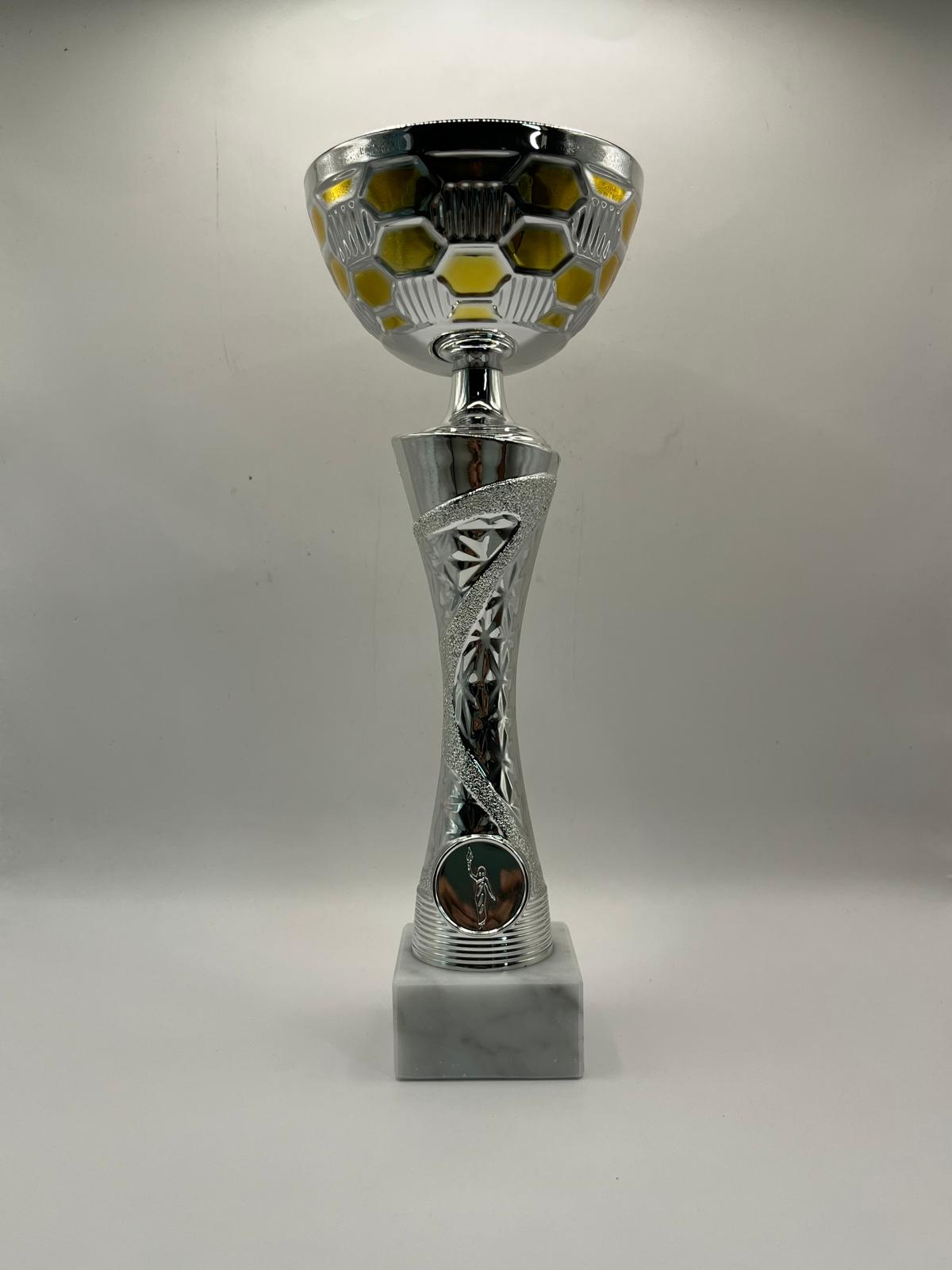Trofeo plateado detalles dorados
