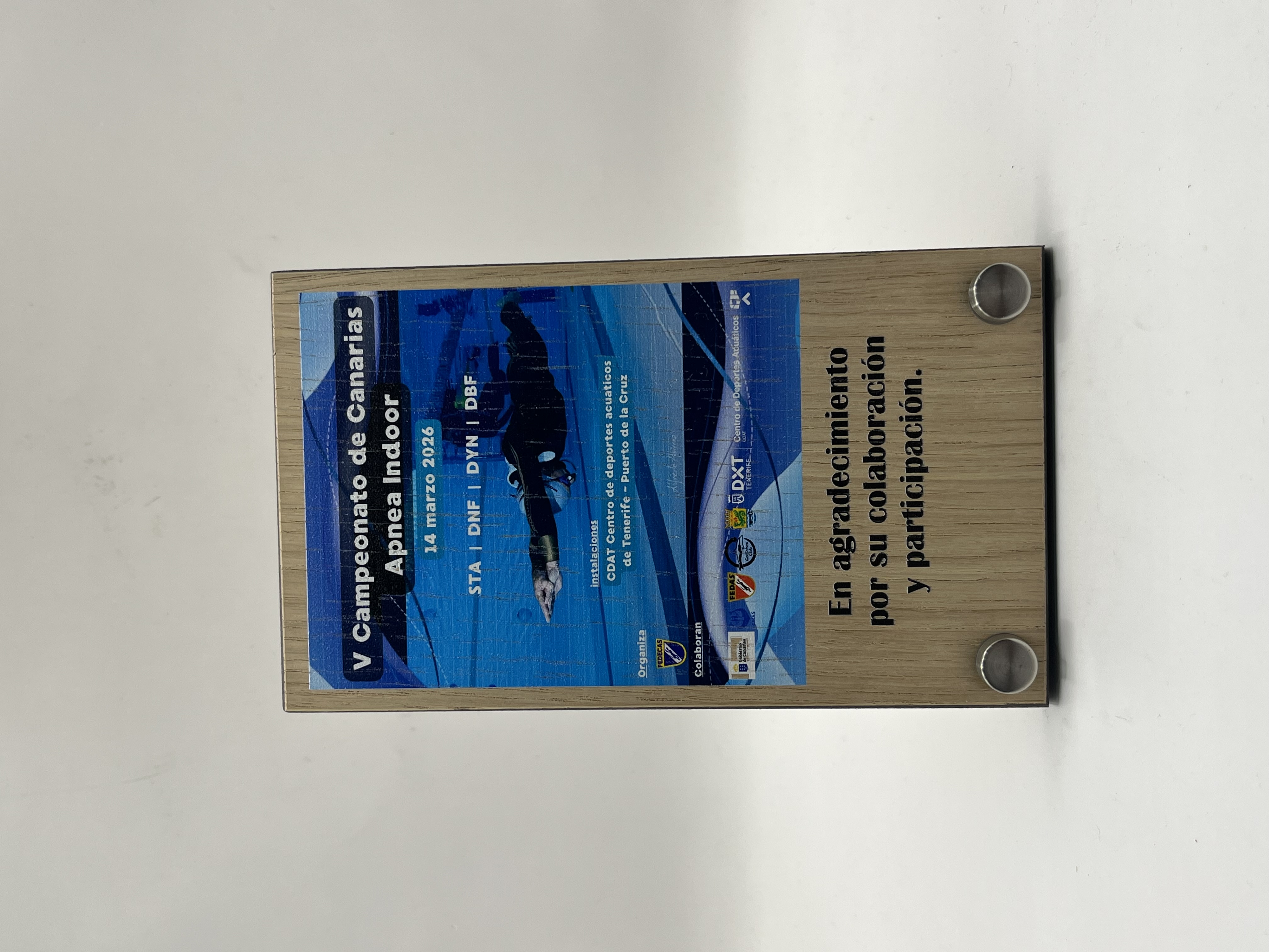 Trofeo de Madera (1736001-2-3)