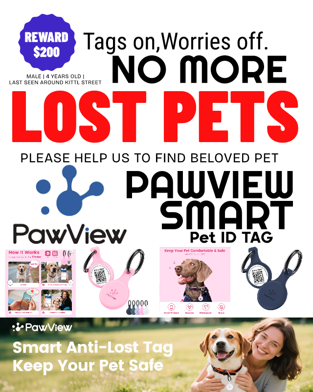 PawView Pet Tag with QR Code