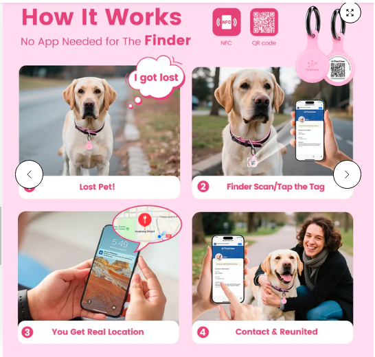 PawView Pet Tag with QR Code
