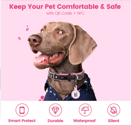 PawView Pet Tag with QR Code