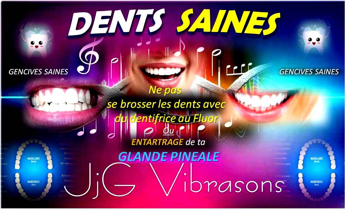 DENTS GENCIVES PINEALE
