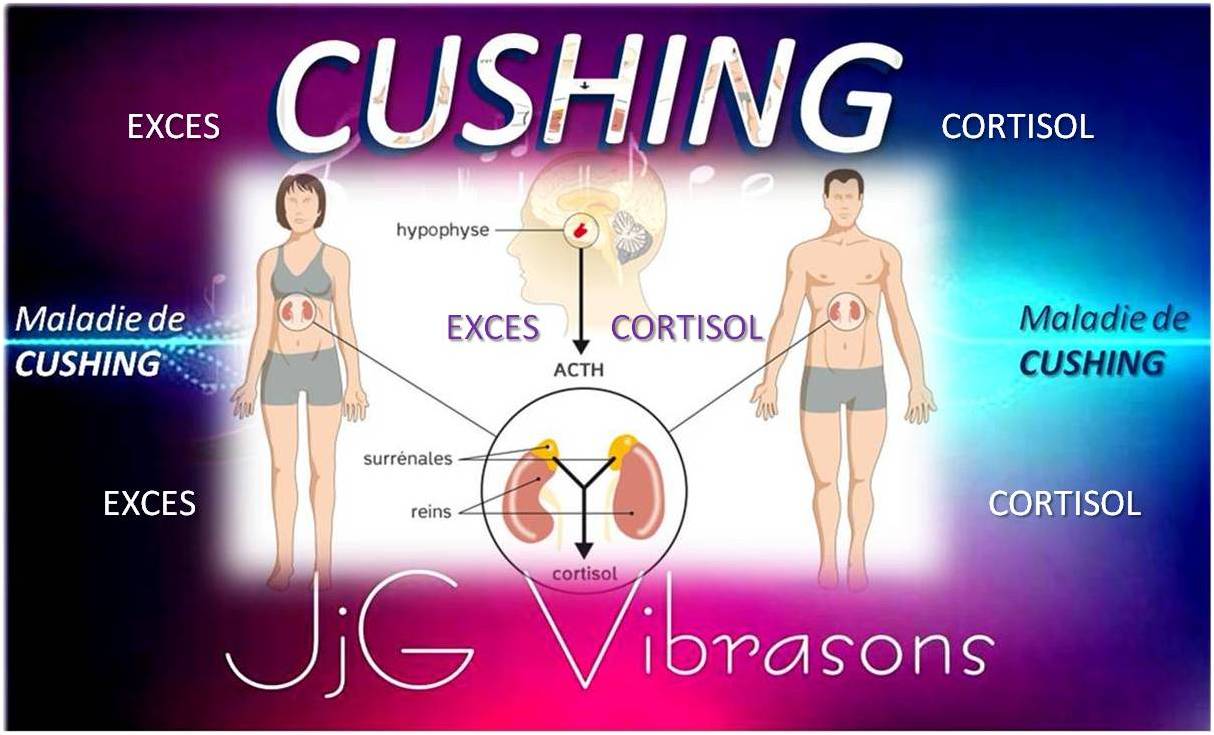 CUSHING - Excès de Cortisol