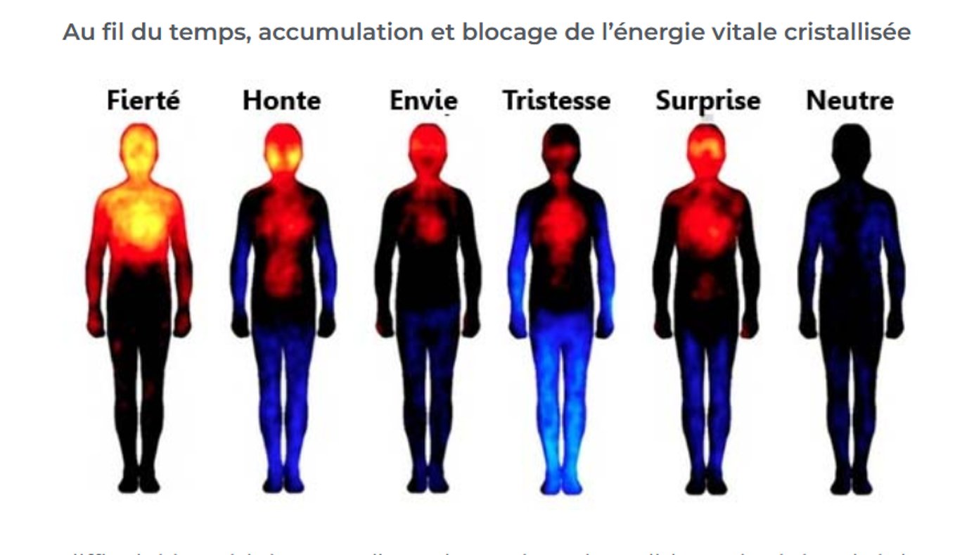 MAITRISE TES EMOTIONS