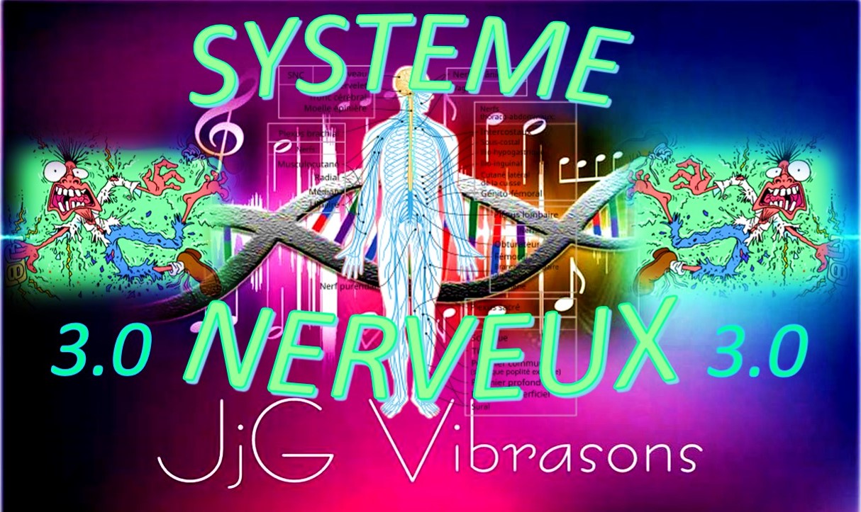 SYSTEME NERVEUX