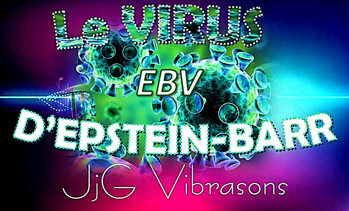 VIRUS D'EPSTEIN BARR