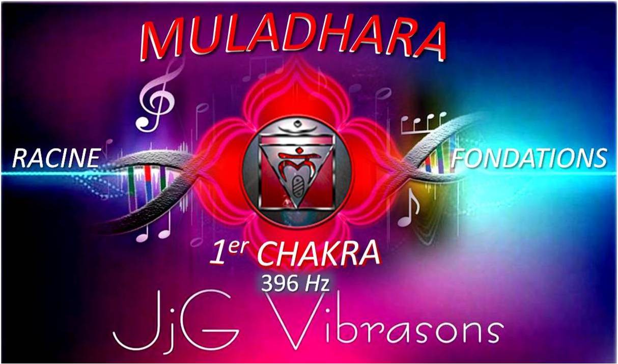 1er Chakra MULADHARA