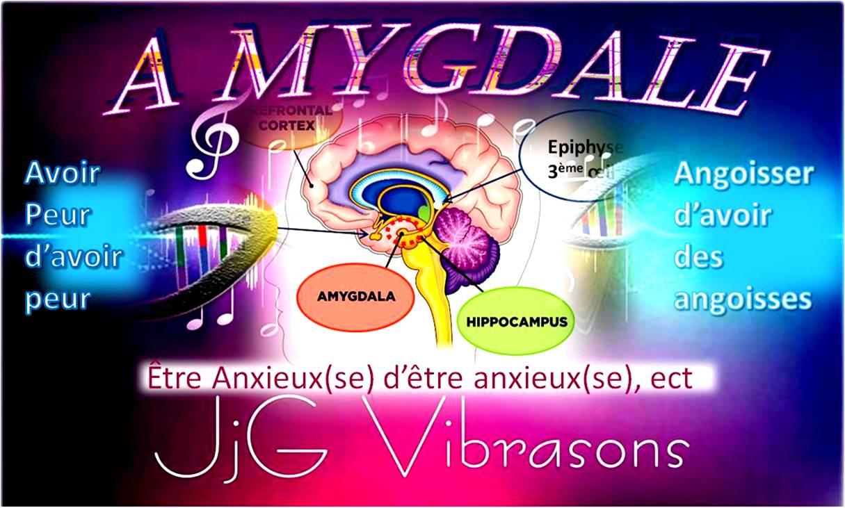 AMYGDALE - PEURS & ANXIETE