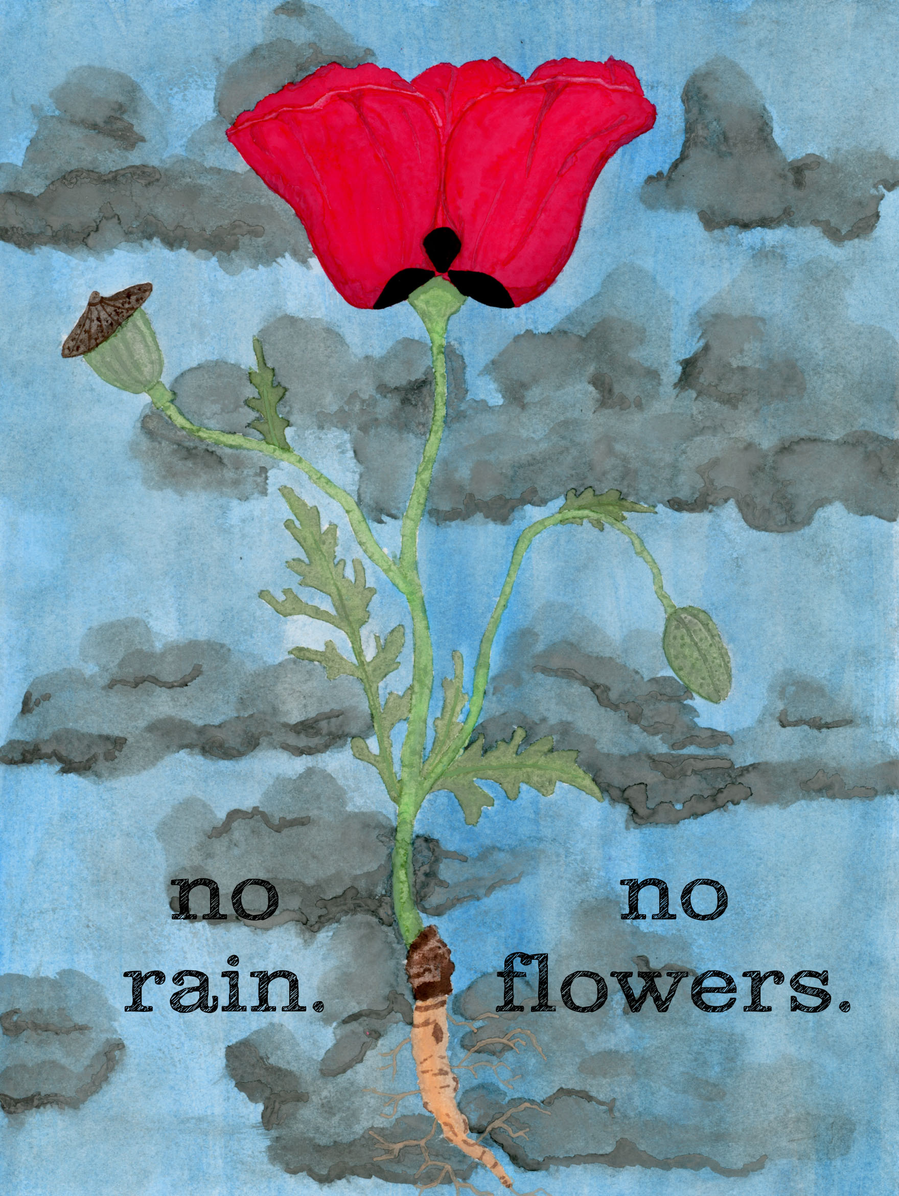 "No Rain, No Flowers"