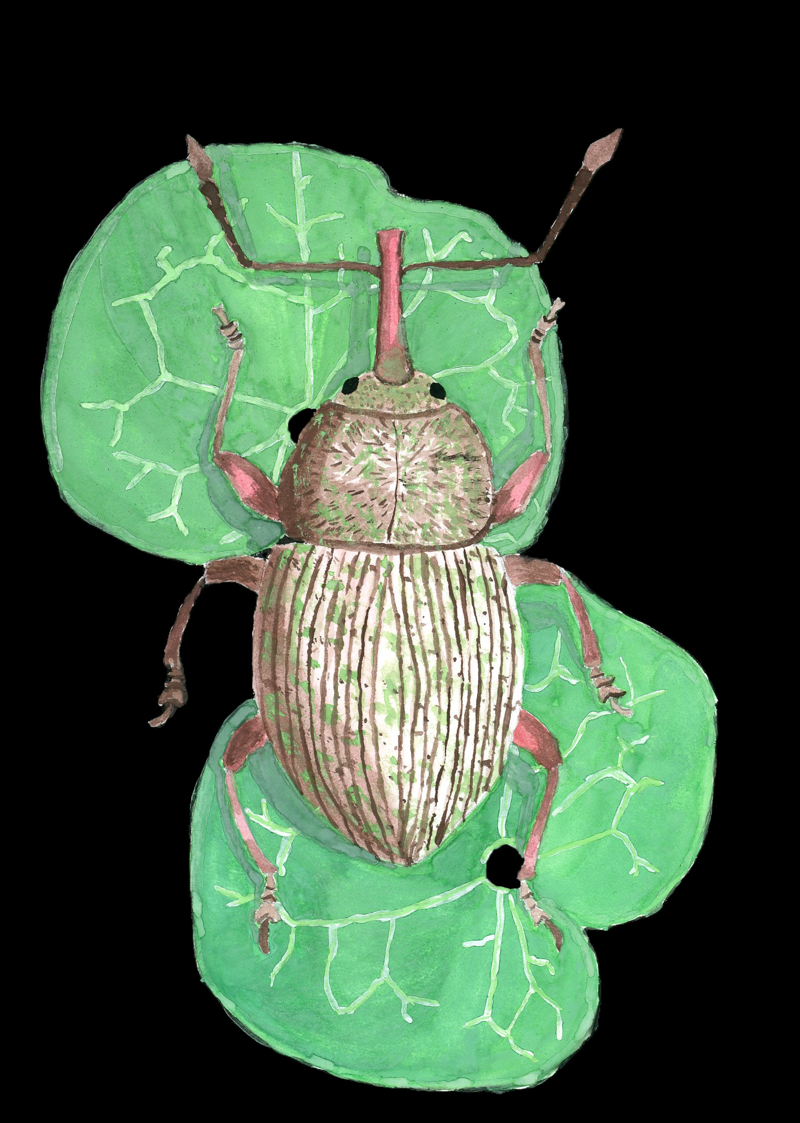 "Just Before, Just Beyond"