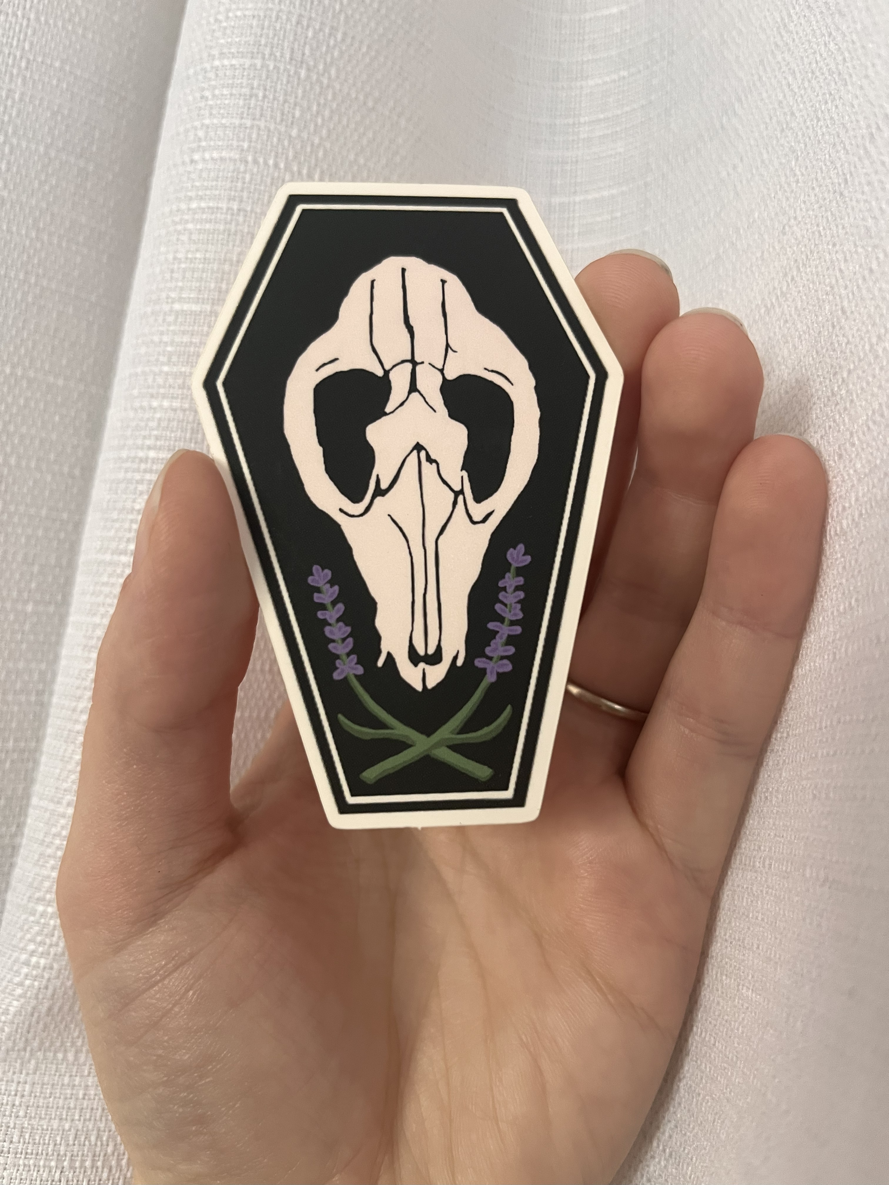 Opossum Skull Sticker