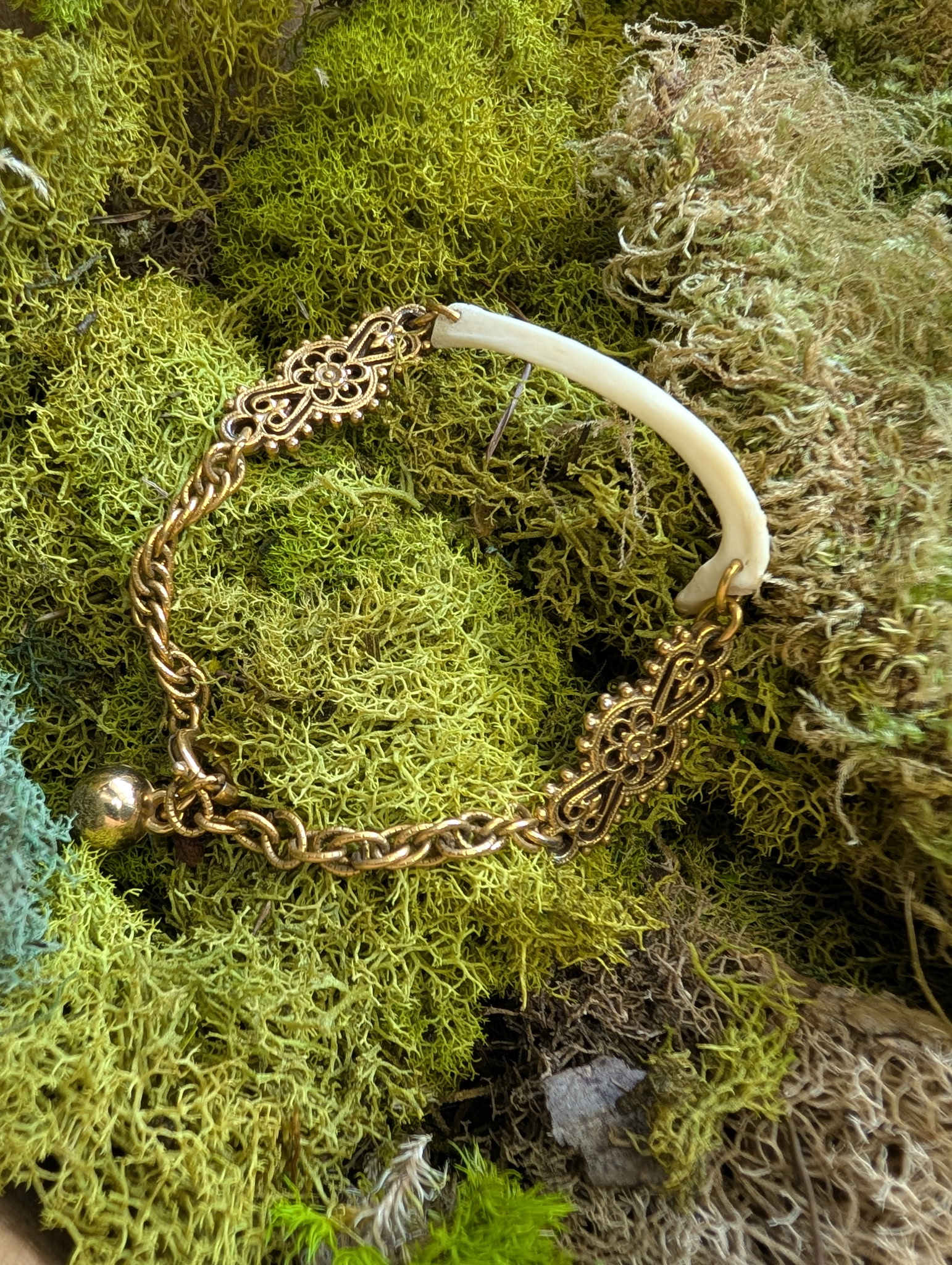 Possum Rib Bracelet