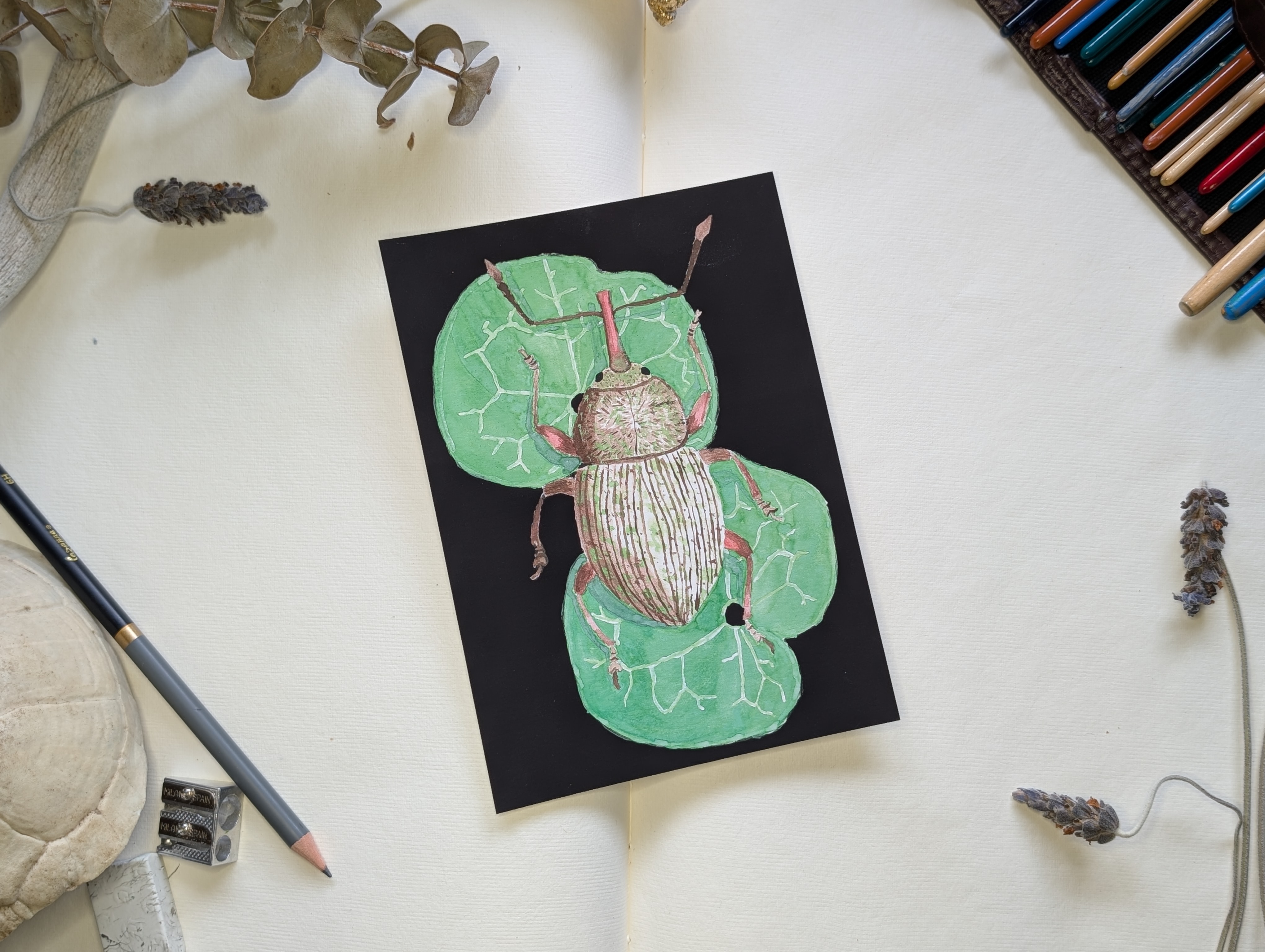 "Just Before, Just Beyond"