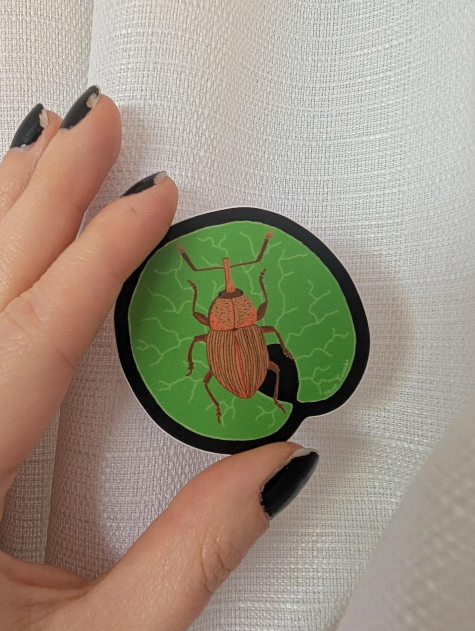 Weevil Sticker