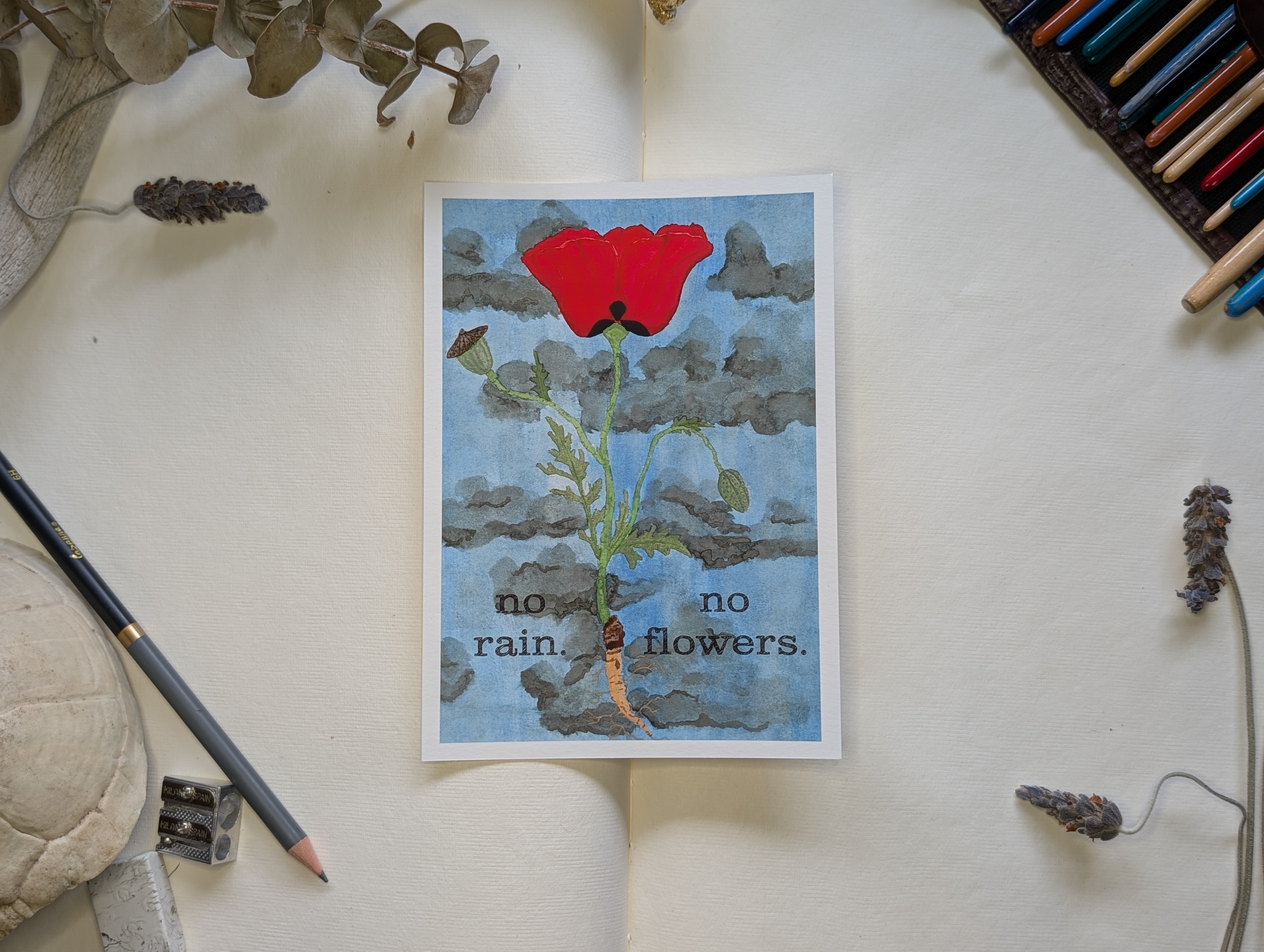 "No Rain, No Flowers"